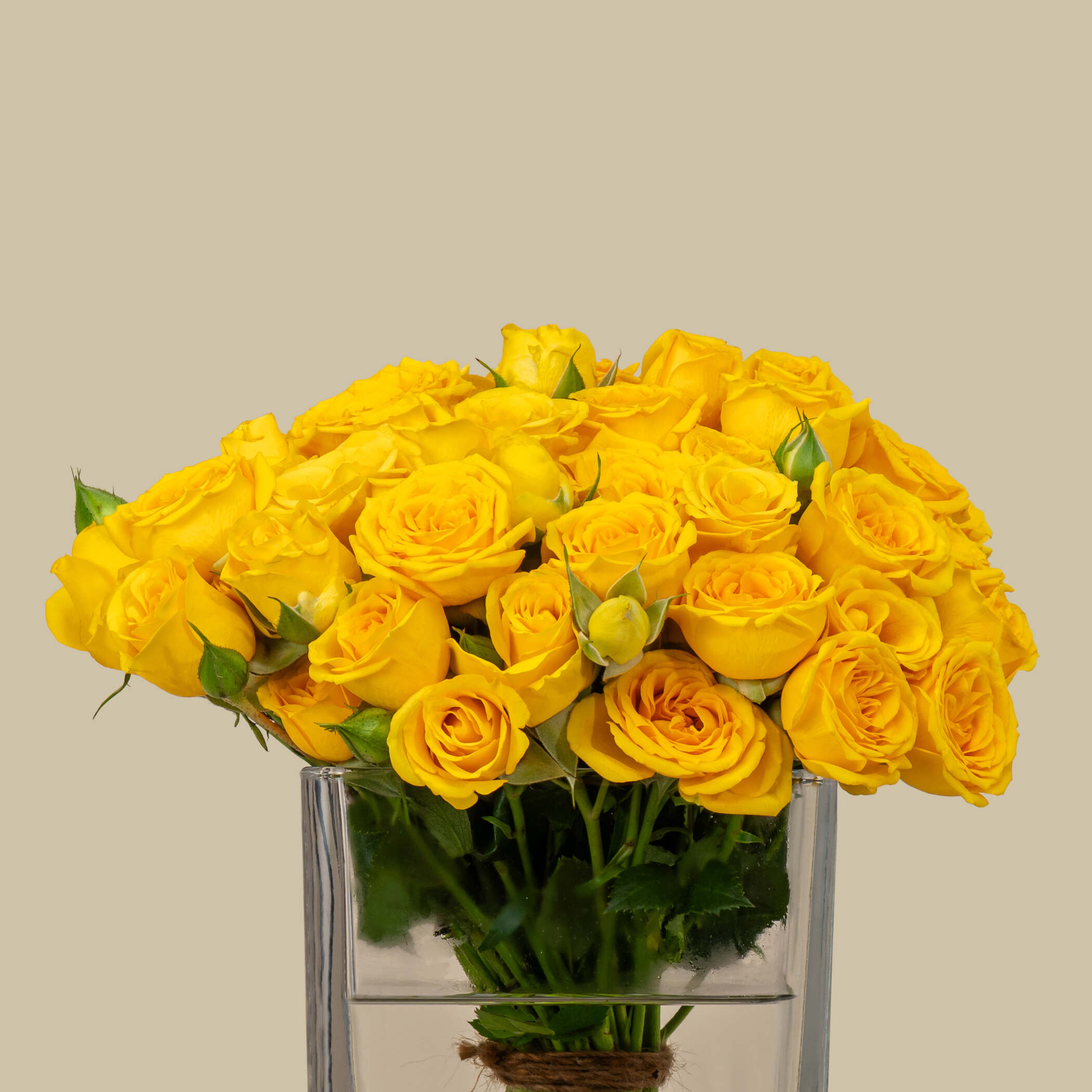 Fresh Spray Rose Square Vase Yellow | 15 Flowers Fresh Spray Rose Square Vase Yellow | 15 Flowers