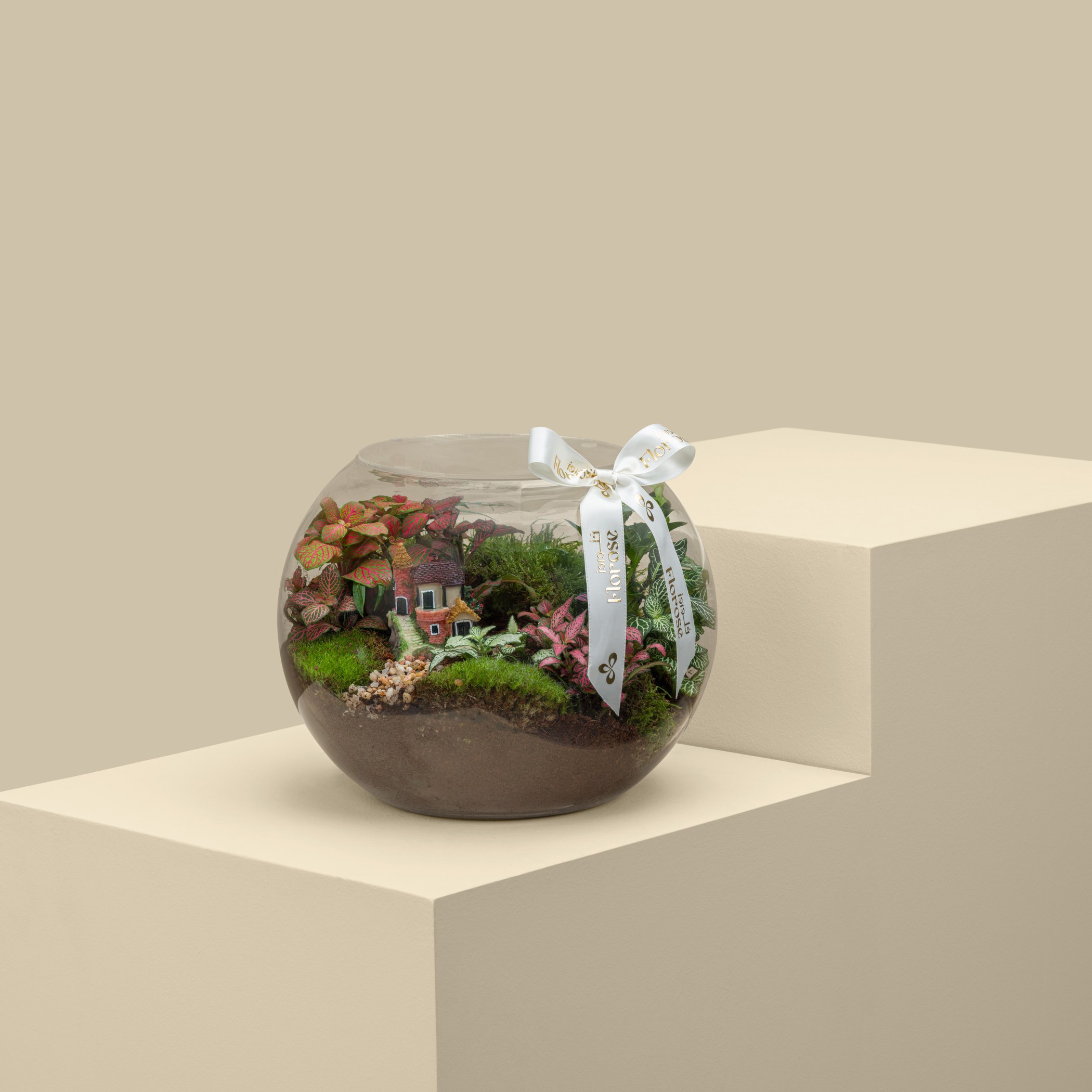 Terrarium Cottage Home Garden | Large Terrarium Cottage Home Garden | Large