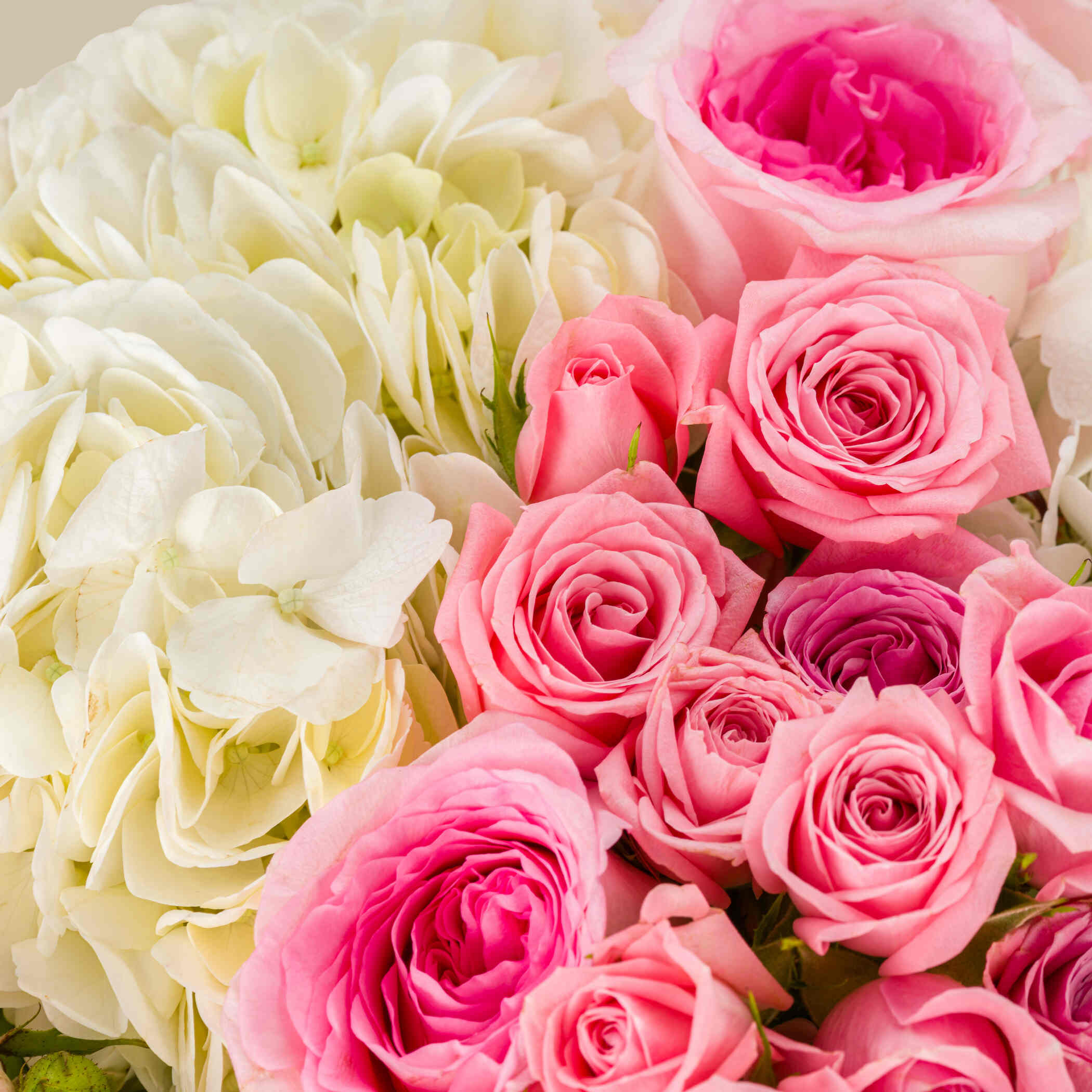 Elegant Beauty Bouquet Elegant Beauty Bouquet