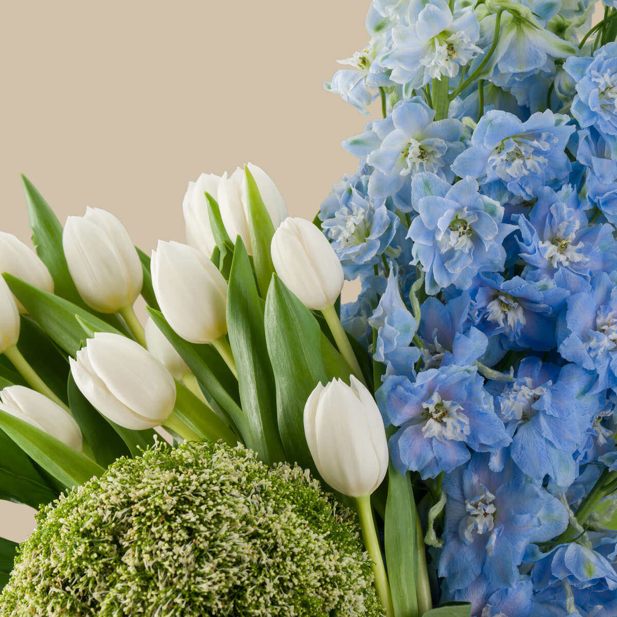 Blue Peal Premium Vase Blue Peal Premium Vase