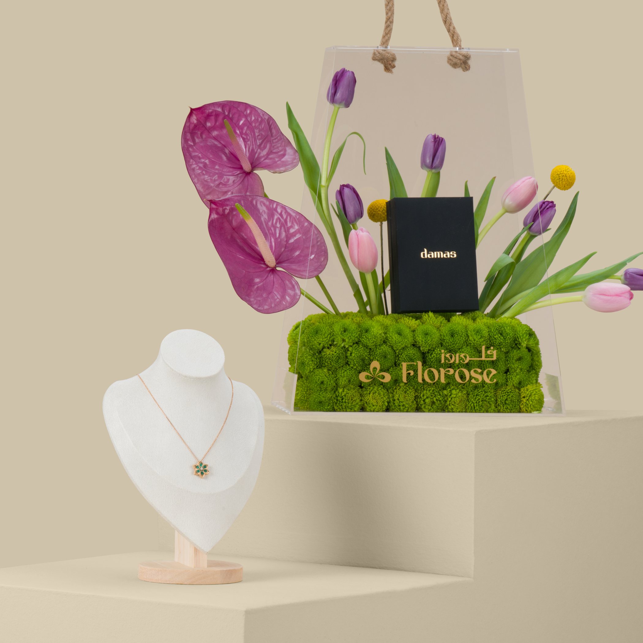 Damas Stella D'Oro Necklace | Delicate Glow Damas Stella D'Oro Necklace | Delicate Glow