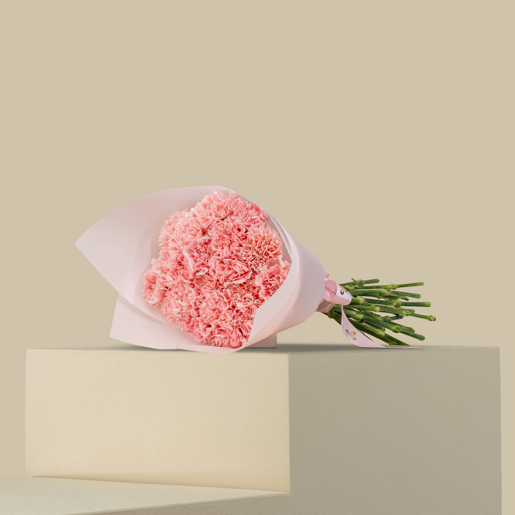 Pink Carnation Bouquet Pink Carnation Bouquet