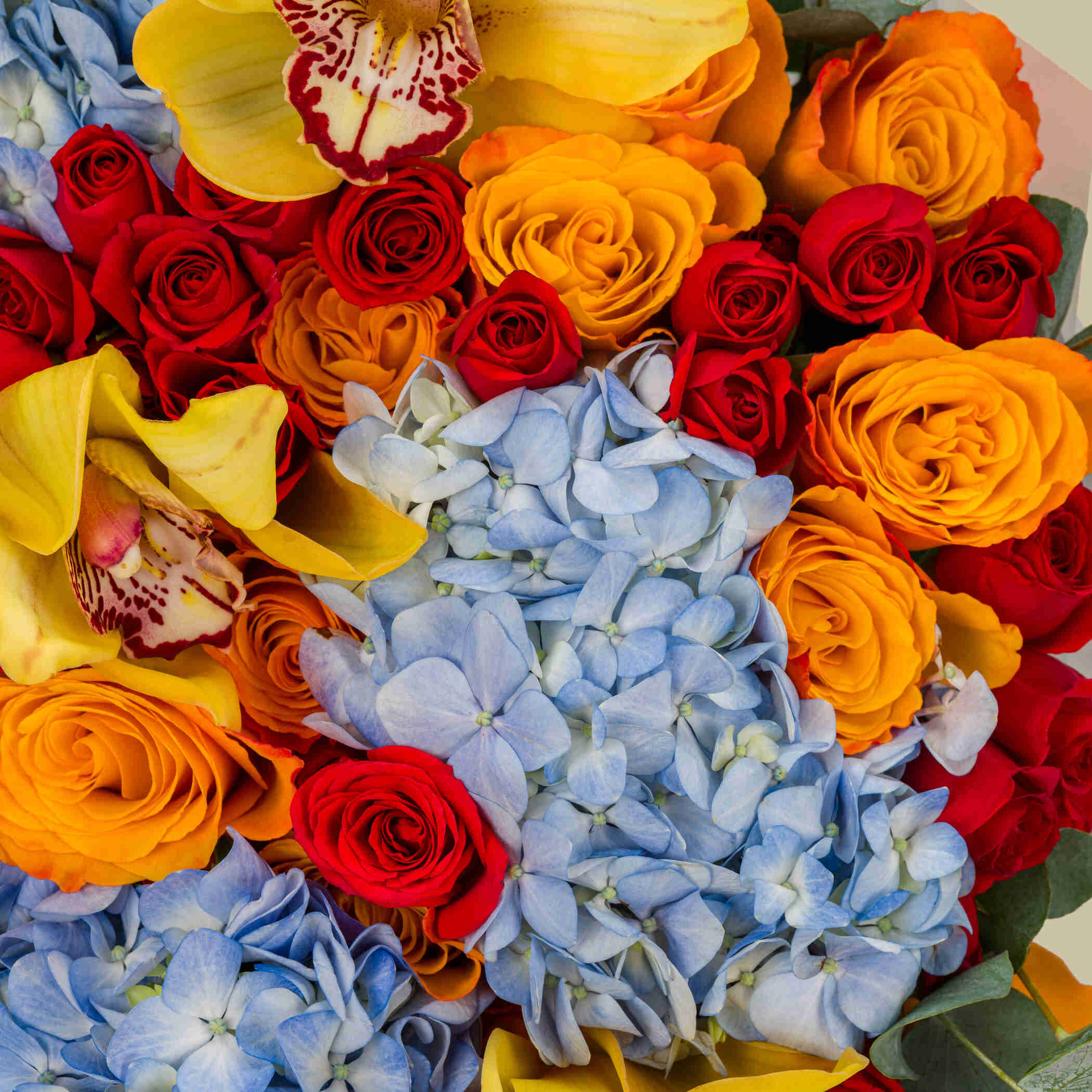 Cold Recovery Bouquet Cold Recovery Bouquet