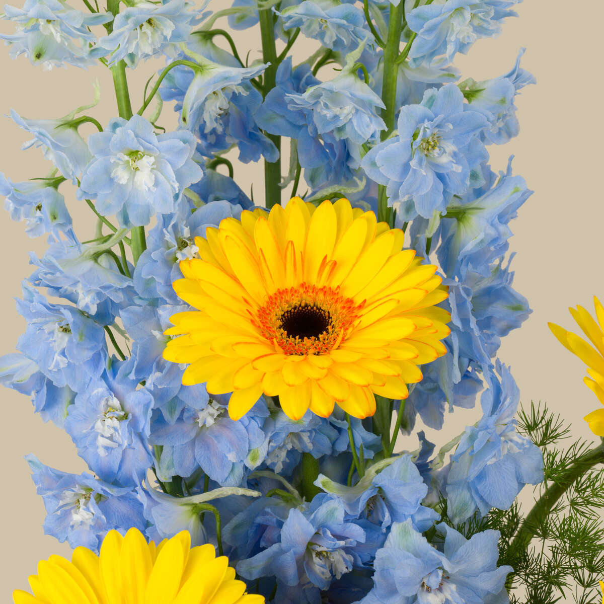 Life’s Orchestra Premium Vase Life’s Orchestra Premium Vase