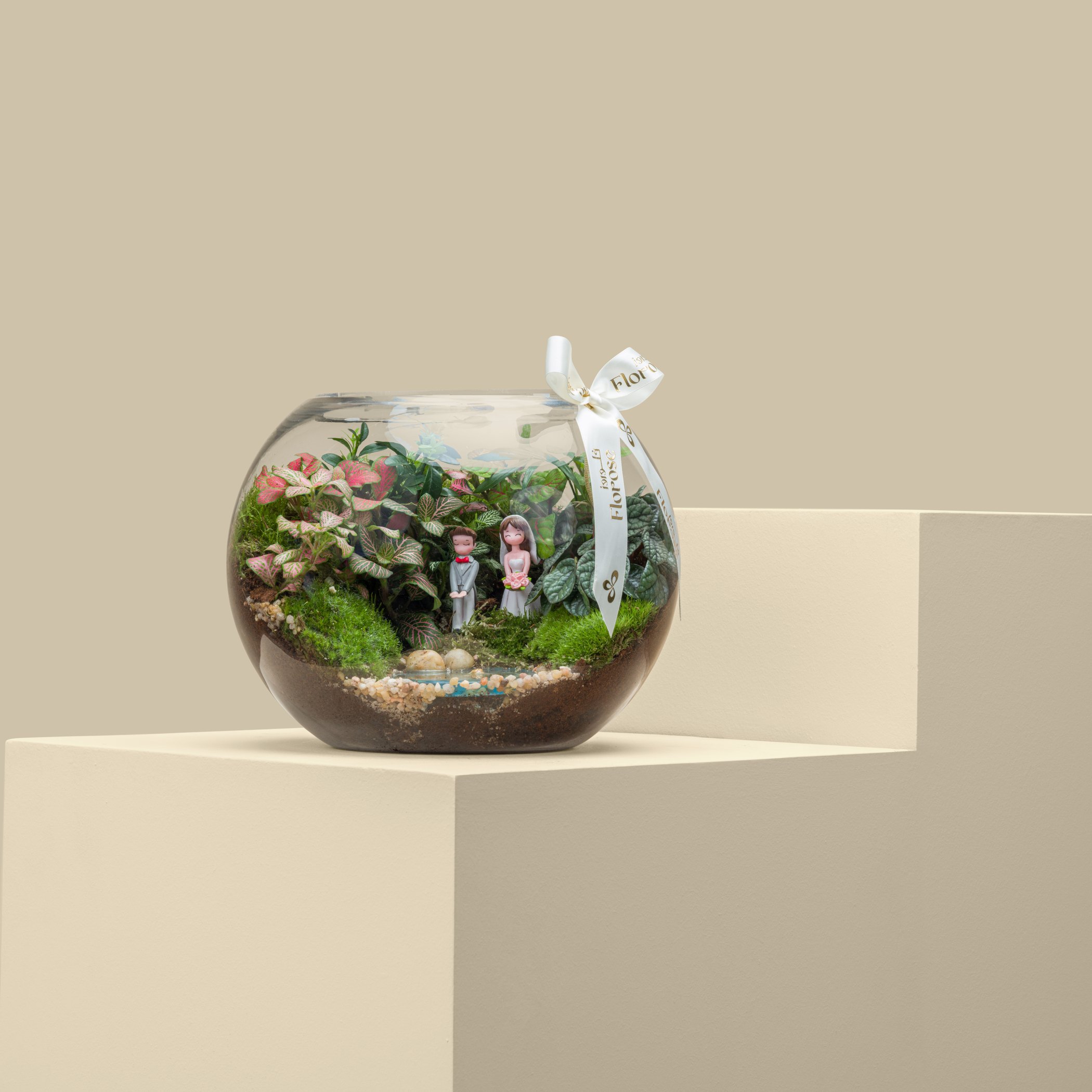 Terrarium Married Couple Garden | Large Terrarium Married Couple Garden | Large