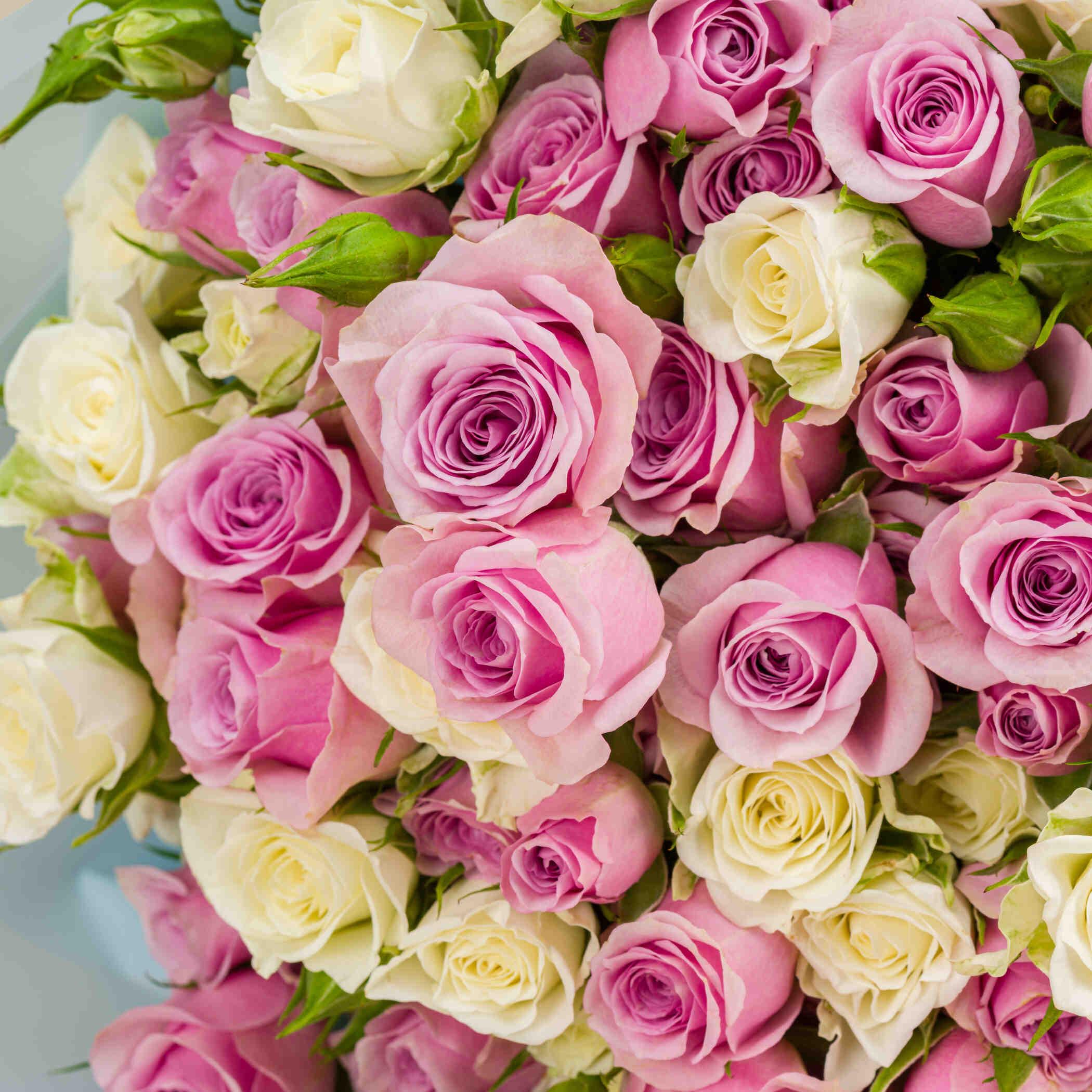 Blush Shade Bouquet Blush Shade Bouquet