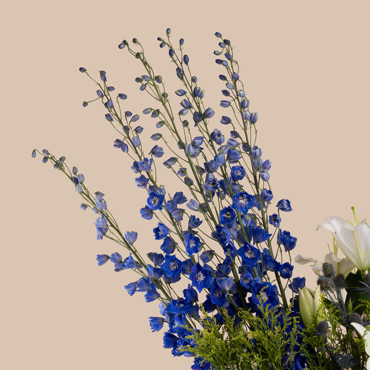Signature Elegance Premium Vase Signature Elegance Premium Vase