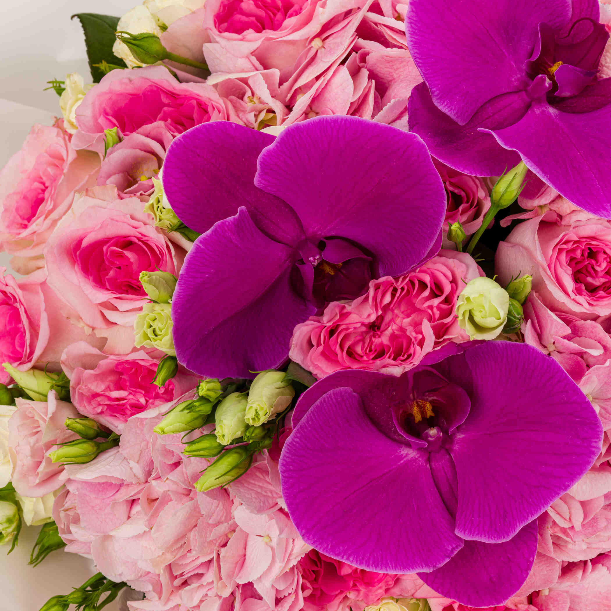 Pink Raqqa Bouquet Pink Raqqa Bouquet