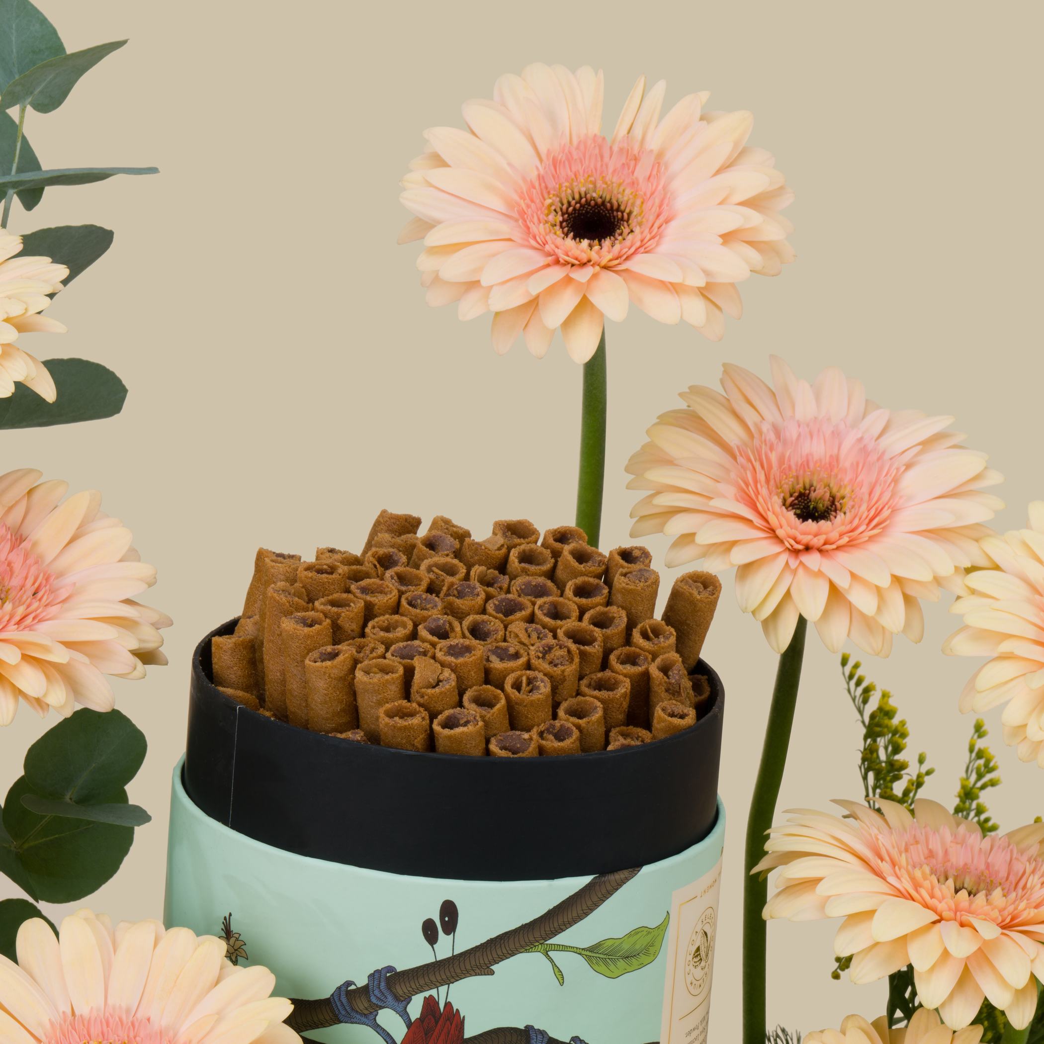 Anoosh Chocolate Wafer Fingers | Beautifully Peach Anoosh Chocolate Wafer Fingers | Beautifully Peach