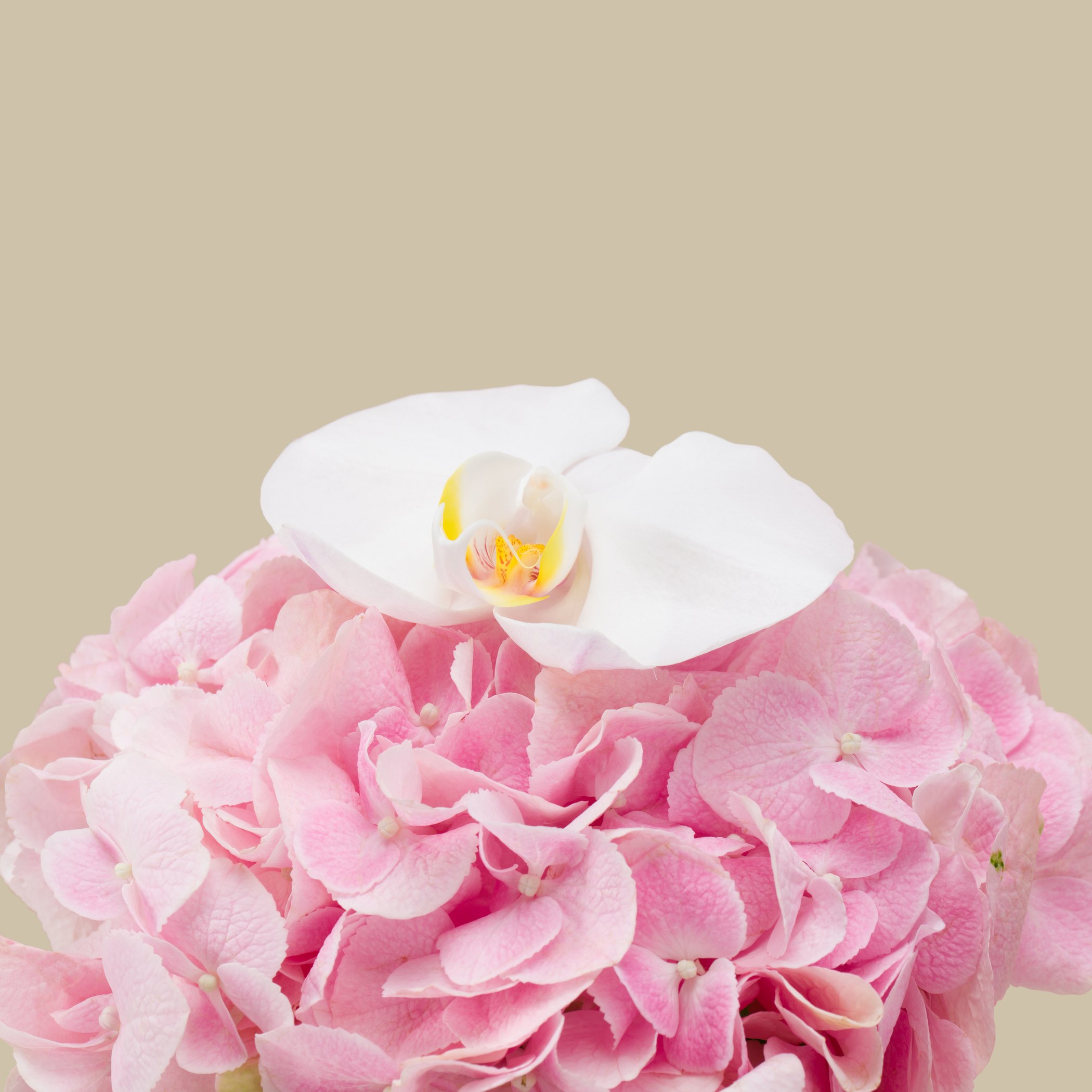 Diptyque Fleur De Peau EDP | Flower Shade Diptyque Fleur De Peau EDP | Flower Shade
