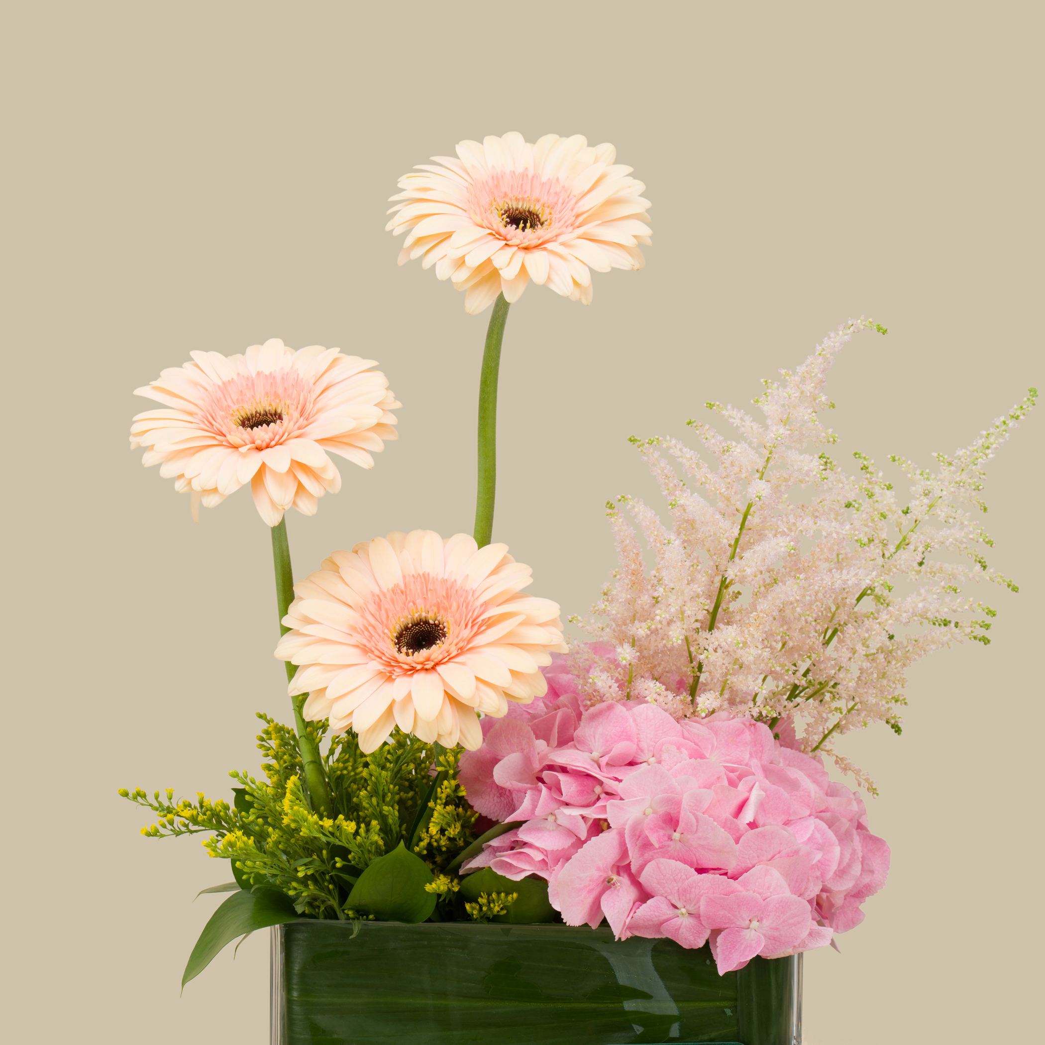 Peach Beauty Rec Vase Peach Beauty Rec Vase