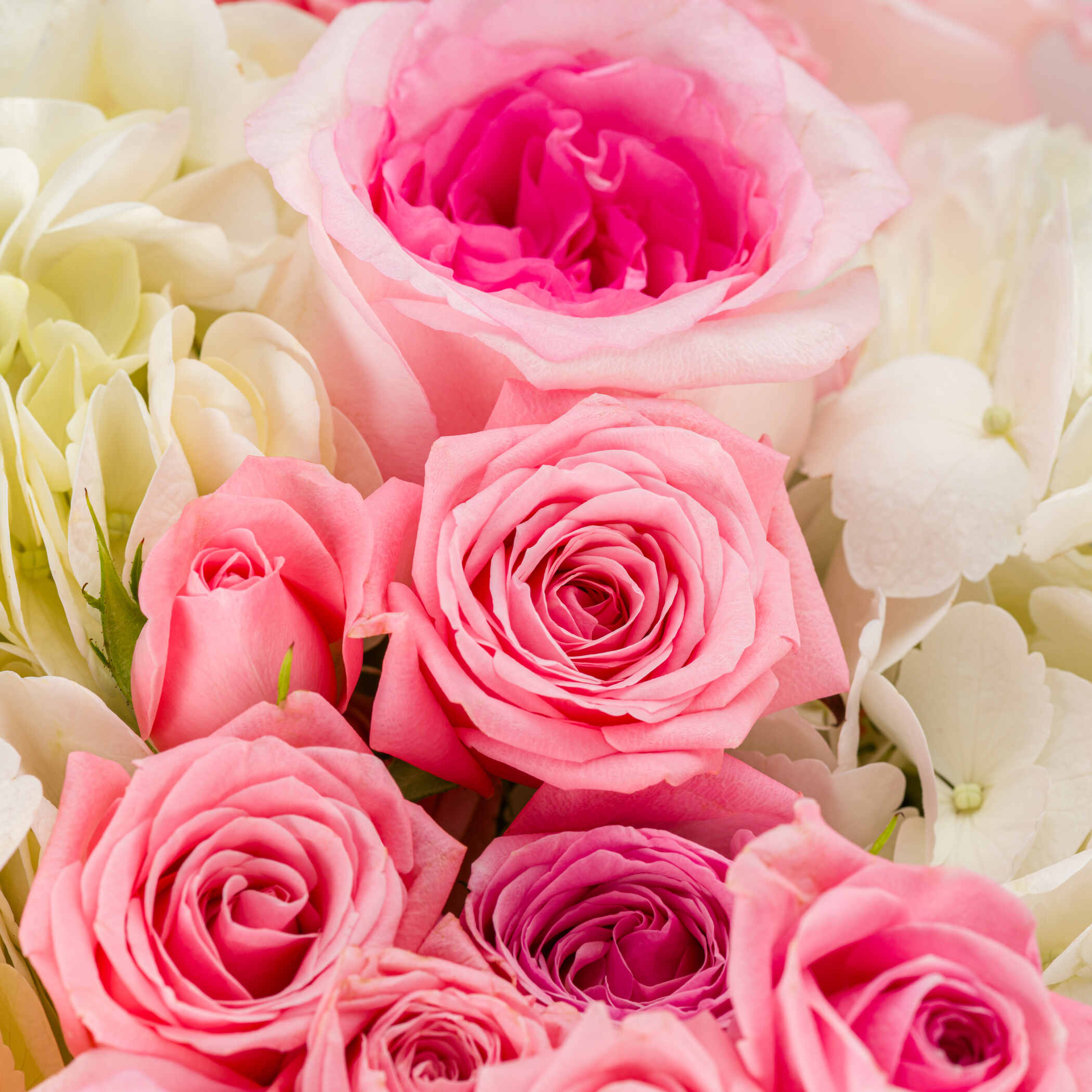 Elegant Beauty Bouquet Elegant Beauty Bouquet