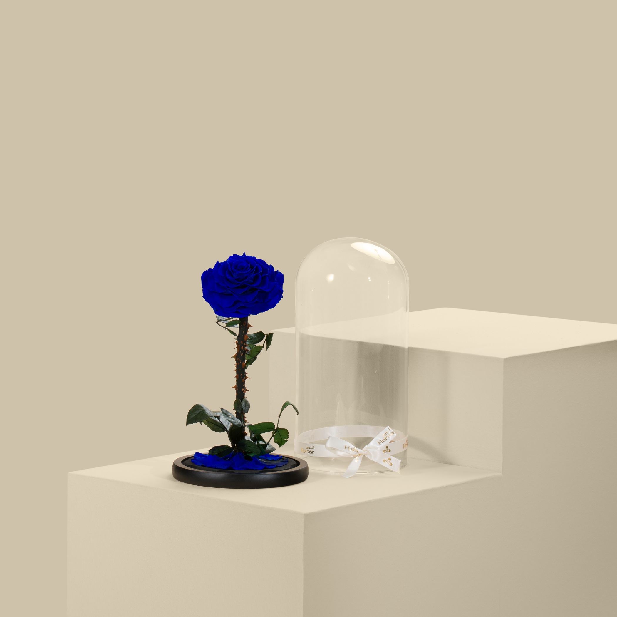 Preserved Blue Rose Preserved Blue Rose