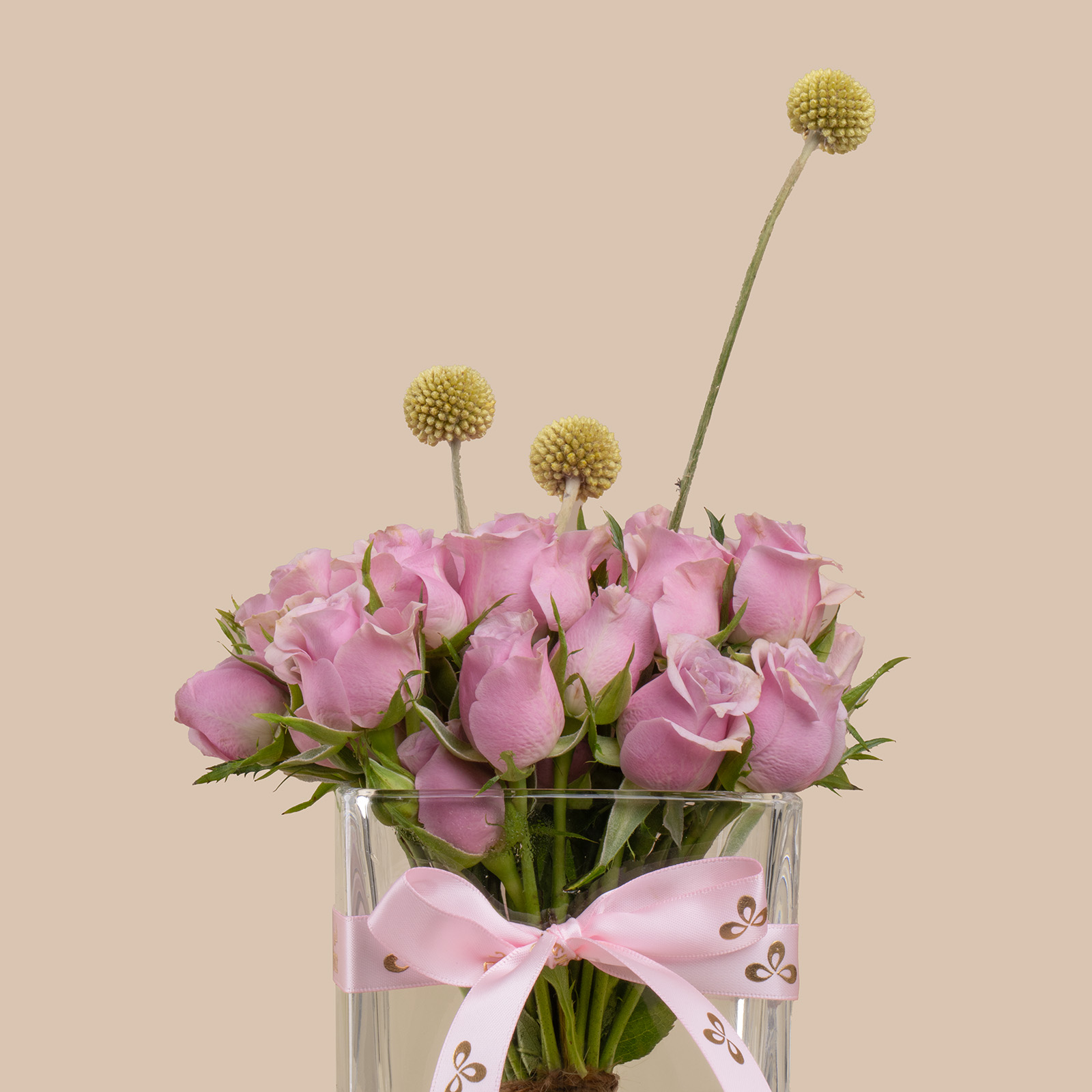 Baby Crown | Canary Bird Diamond Necklace | Radiant Beauty Vase Baby Crown | Canary Bird Diamond Necklace | Radiant Beauty Vase