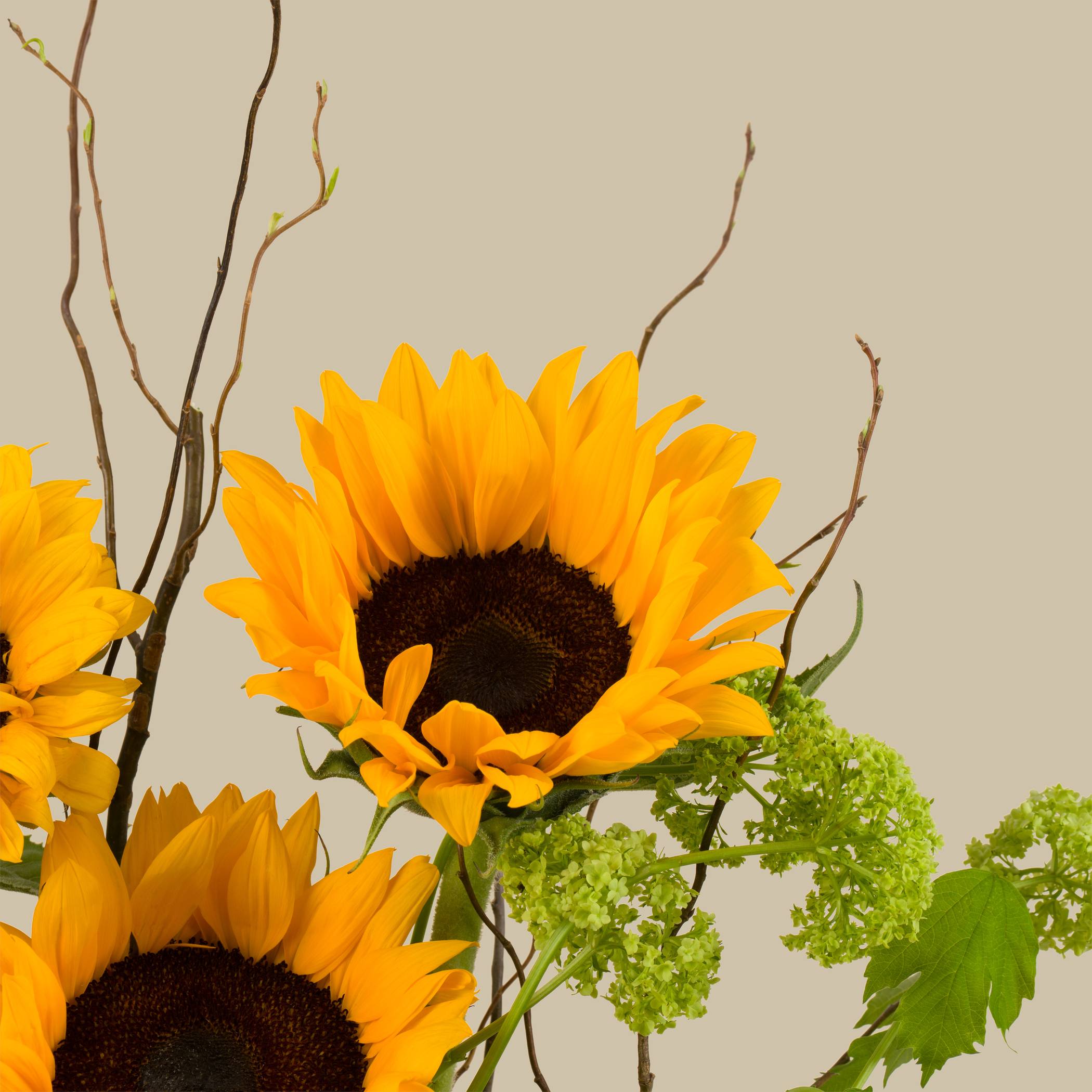 Love’s Sun Round Vase Love’s Sun Round Vase