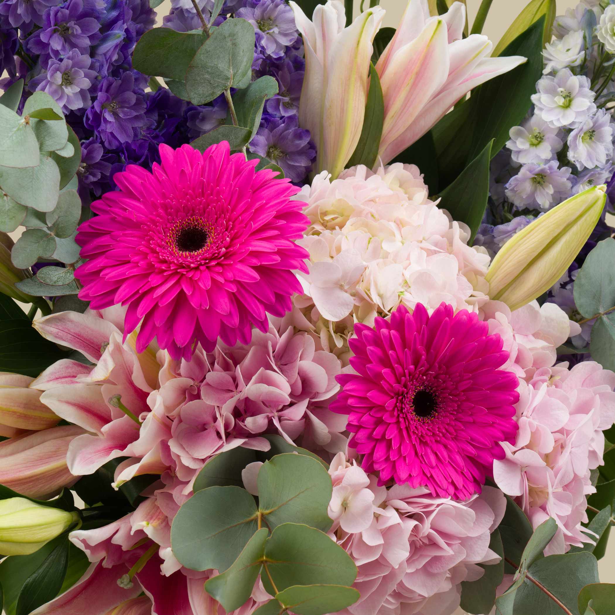 Delicate Moment Vase Delicate Moment Vase