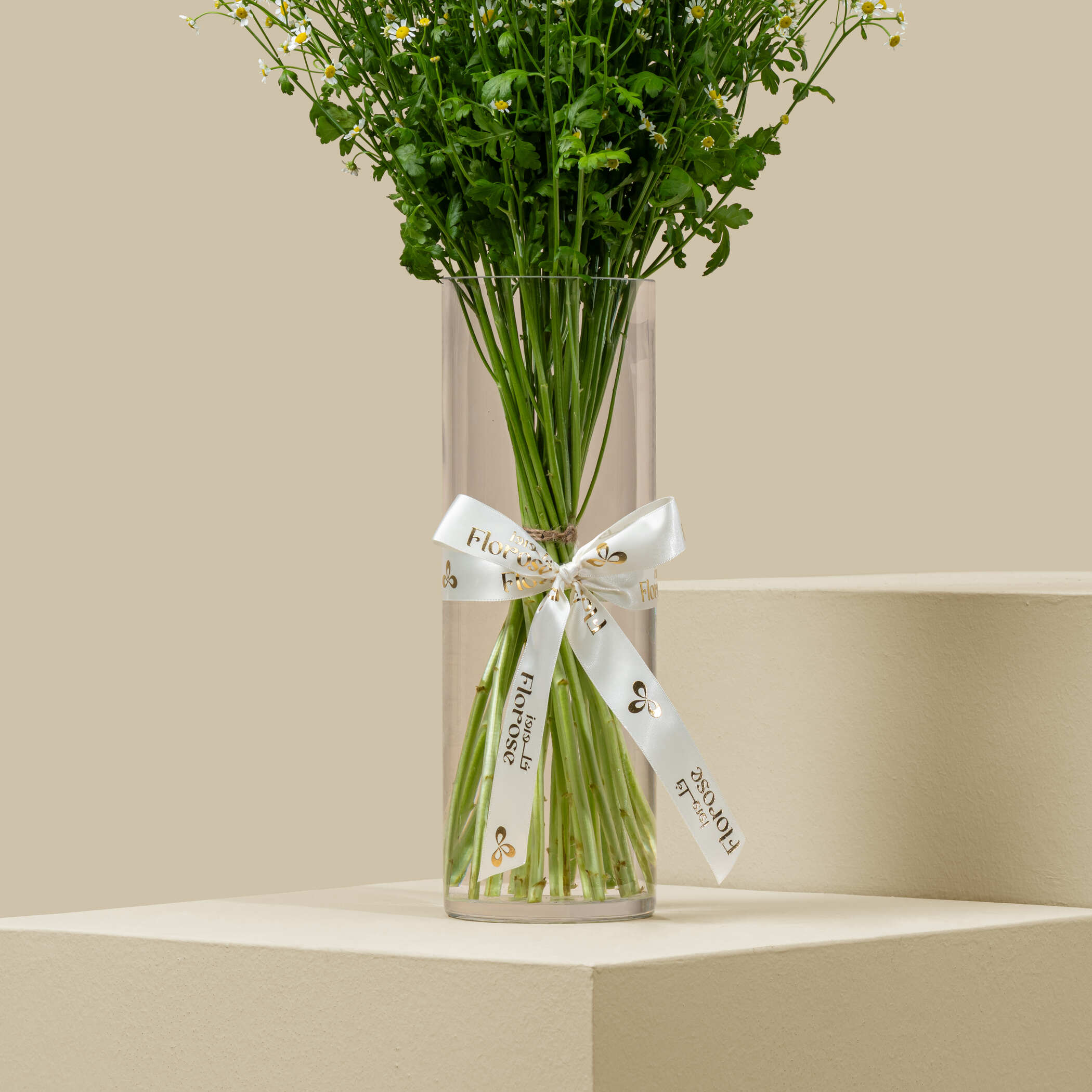 Tanacetum Vase Tanacetum Vase