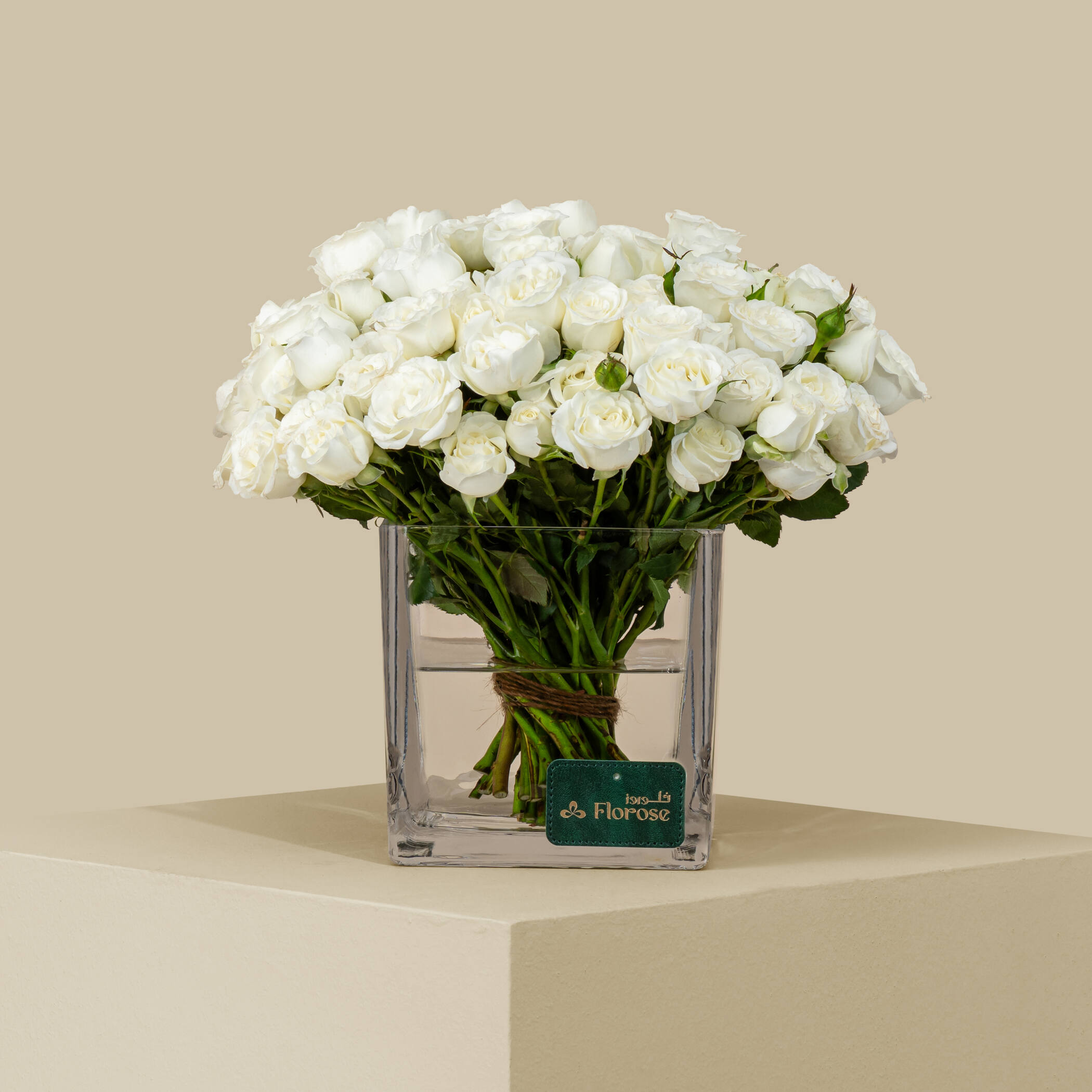 مزهرية مربعة بيبي جوري بيضاء بهية | 30 زهرة مزهرية مربعة بيبي جوري بيضاء بهية | 30 زهرة