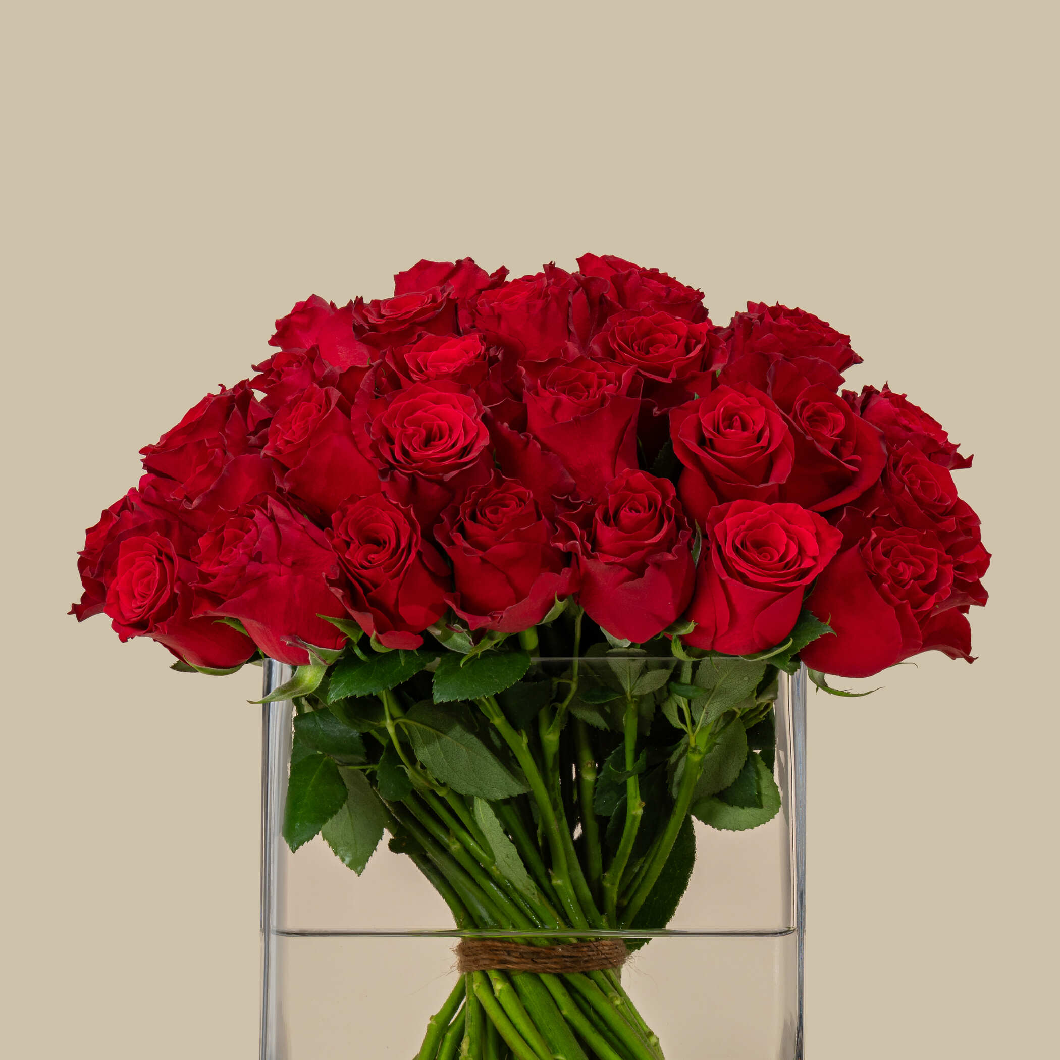 Magnificent Rose Square Vase Red | 50 Flowers Magnificent Rose Square Vase Red | 50 Flowers