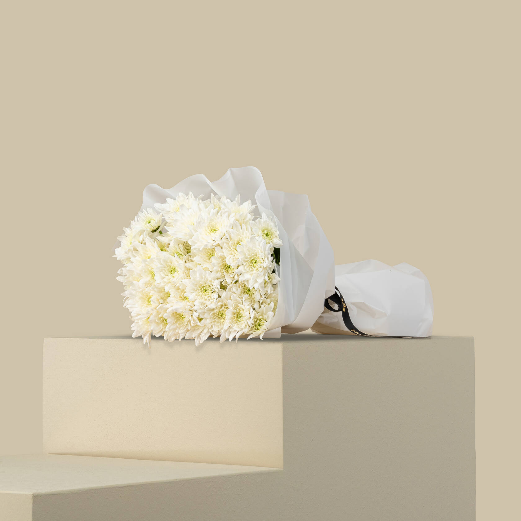 White Chrysanthemum Bouquet White Chrysanthemum Bouquet
