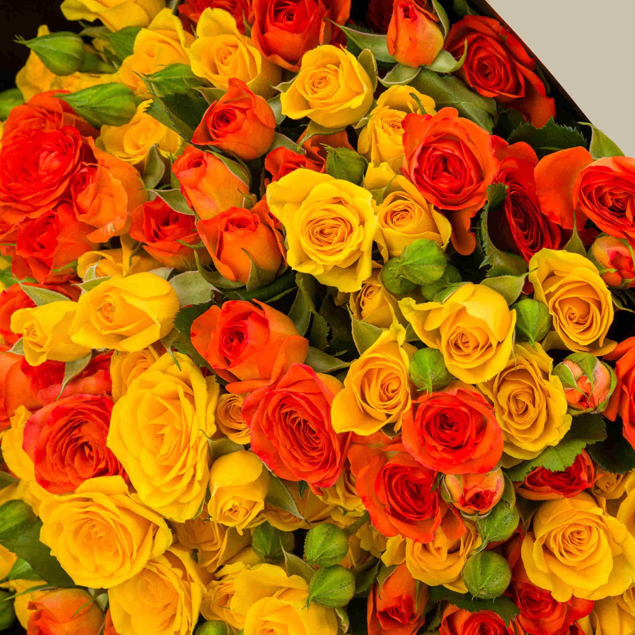 Morning Luster Bouquet Morning Luster Bouquet