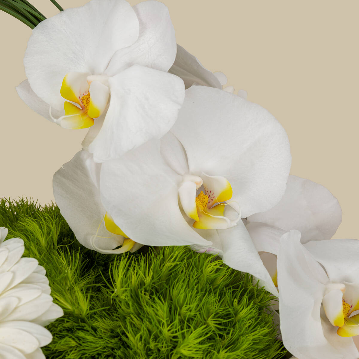 سلة سحر الأناقة سلة سحر الأناقة