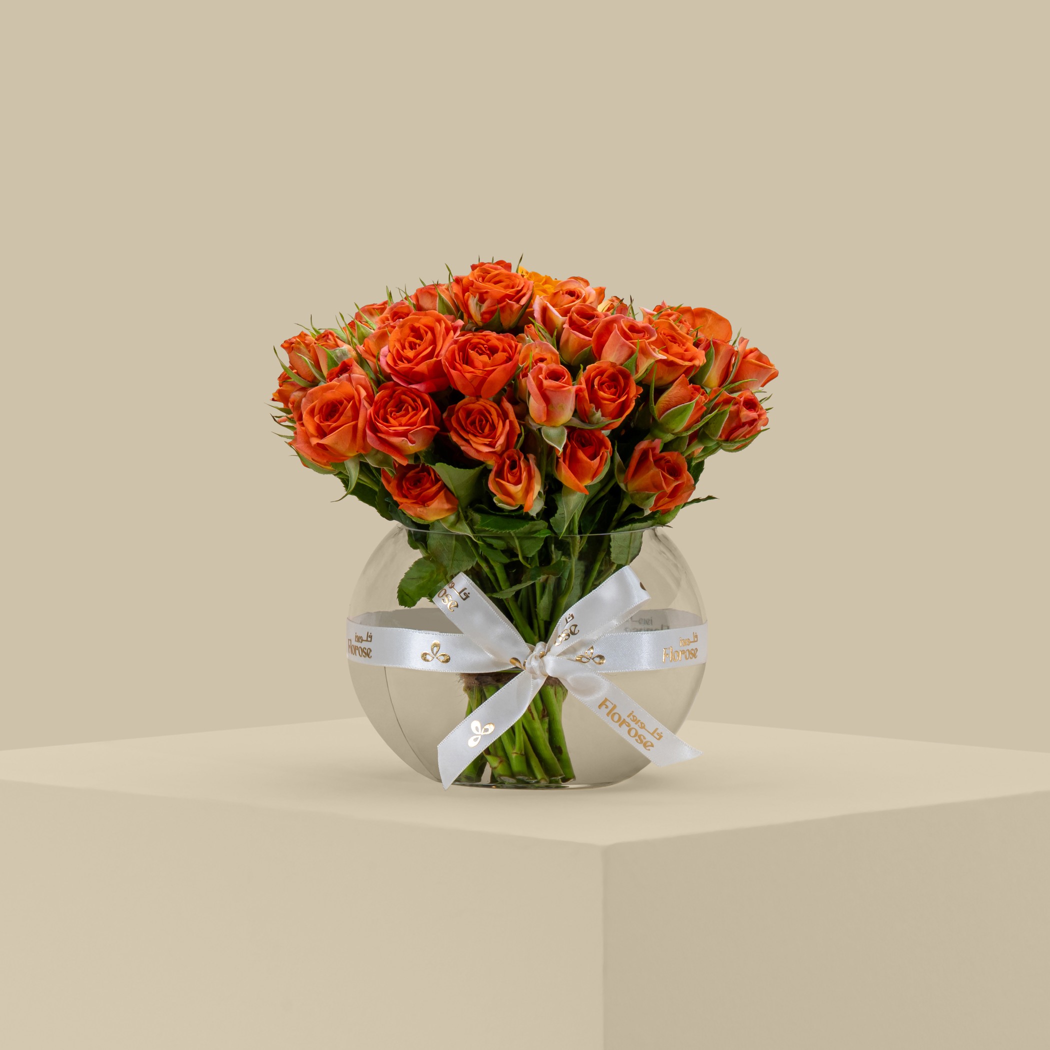 حوض بيبي جوري برتقالي أيقوني | 20 زهرة حوض بيبي جوري برتقالي أيقوني | 20 زهرة
