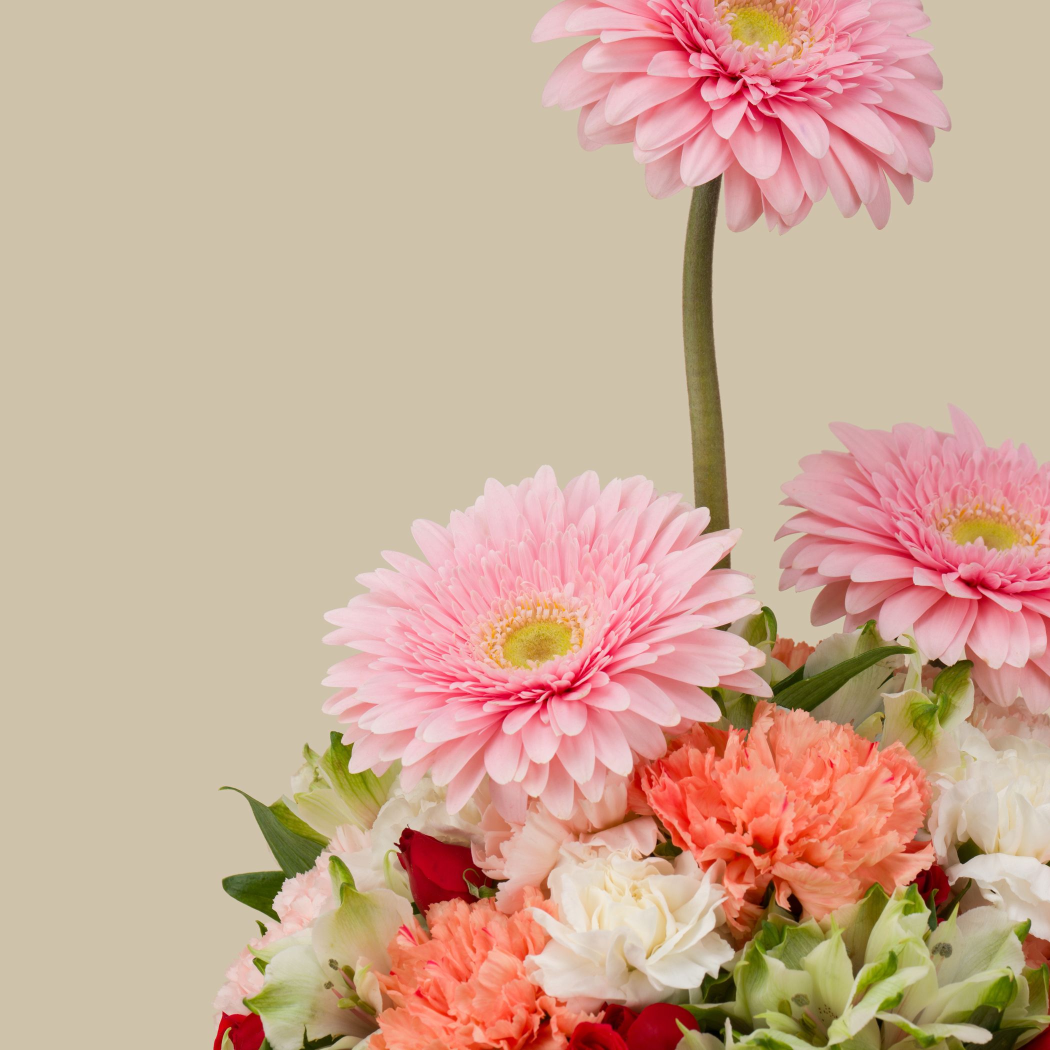 Joyful Life Vase Joyful Life Vase