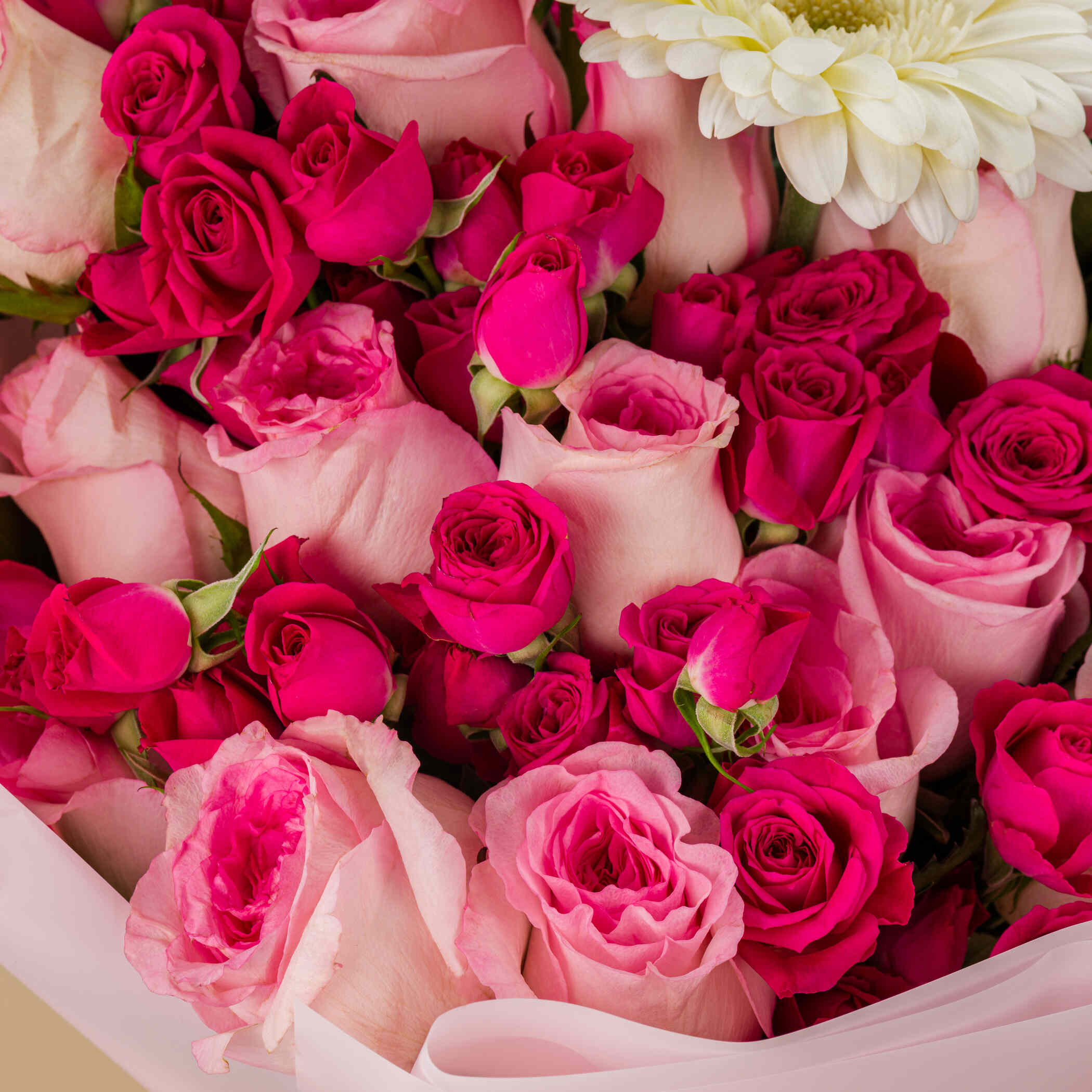 Captivating Pearl Bouquet Captivating Pearl Bouquet
