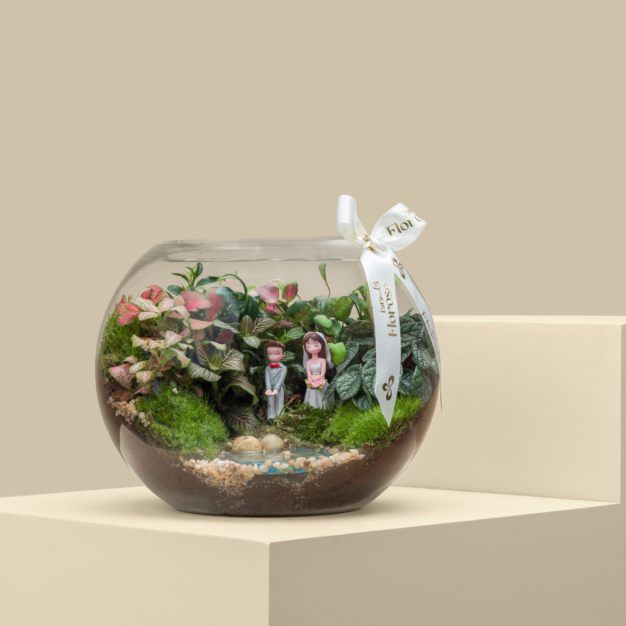 Terrarium Married Couple Garden | Large Terrarium Married Couple Garden | Large