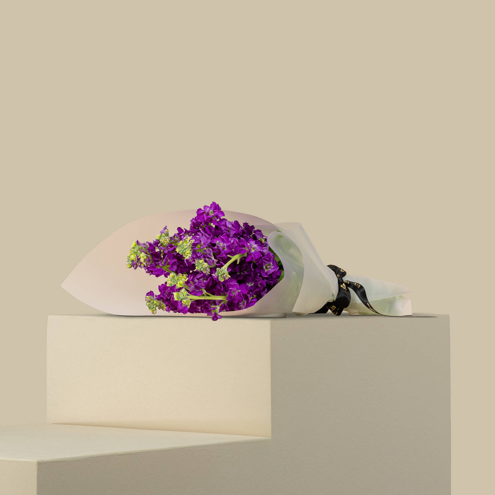 Dark Purple Matthiola Bouquet Dark Purple Matthiola Bouquet