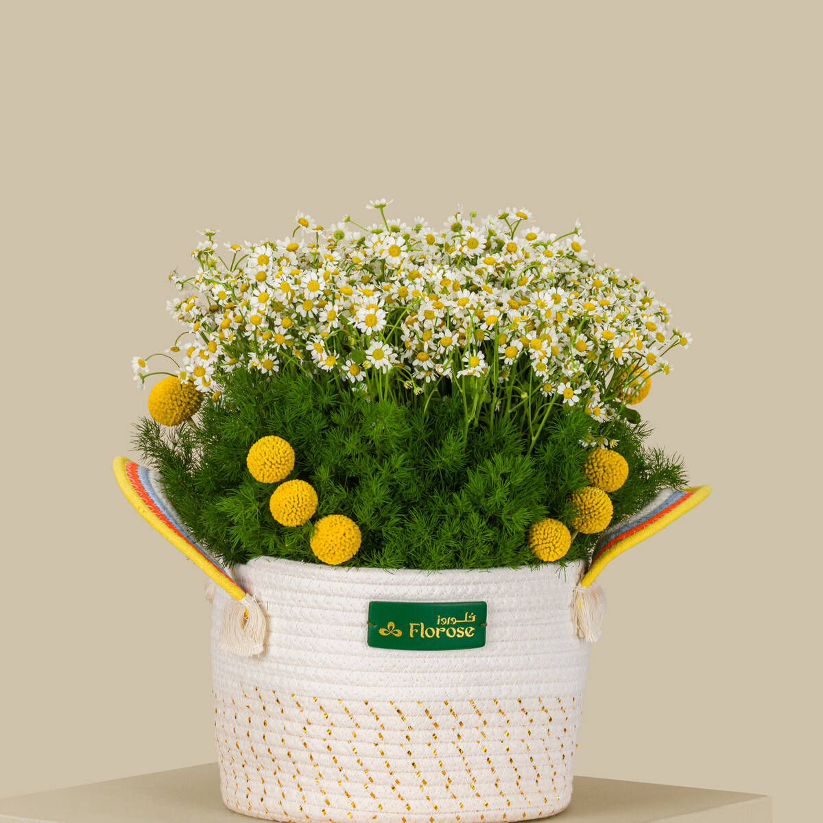 Rising Sun Basket Rising Sun Basket