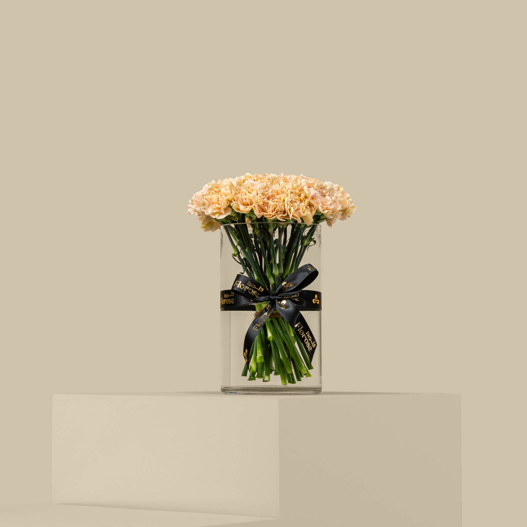 Carnation Magic Vase Carnation Magic Vase