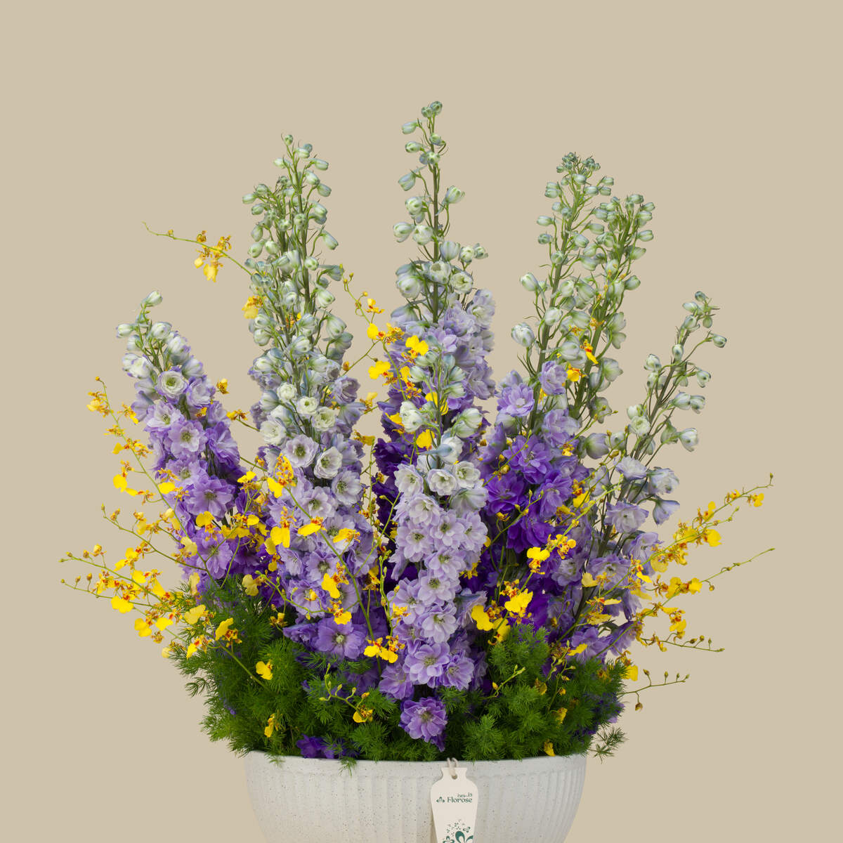 Violet Oasis Premium Vase Violet Oasis Premium Vase