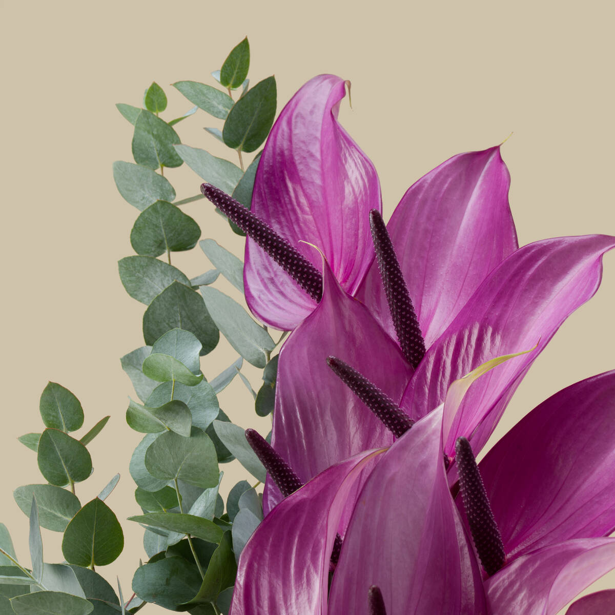 Lilac Glow Premium Vase Lilac Glow Premium Vase