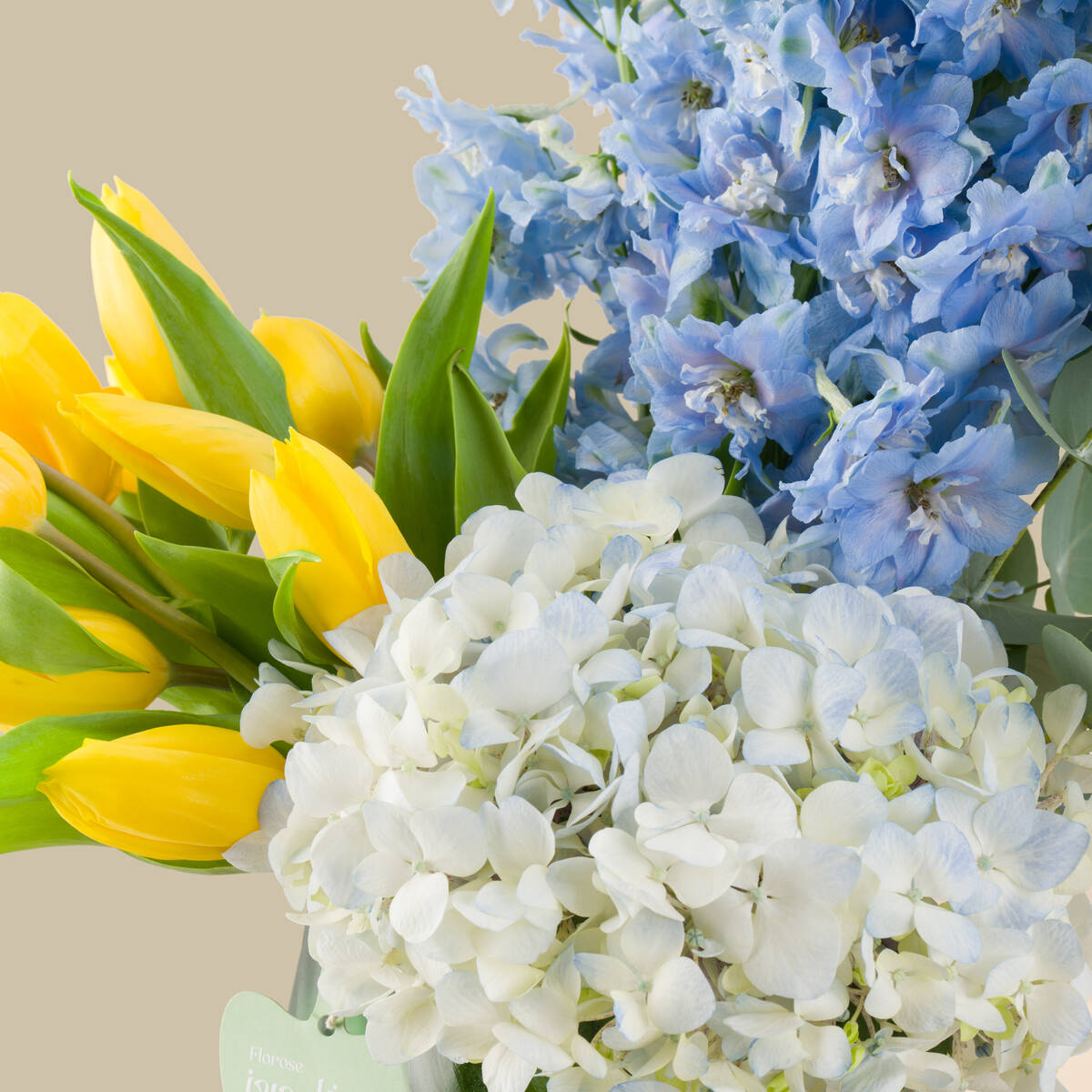 Majestic Wave Premium Vase Majestic Wave Premium Vase