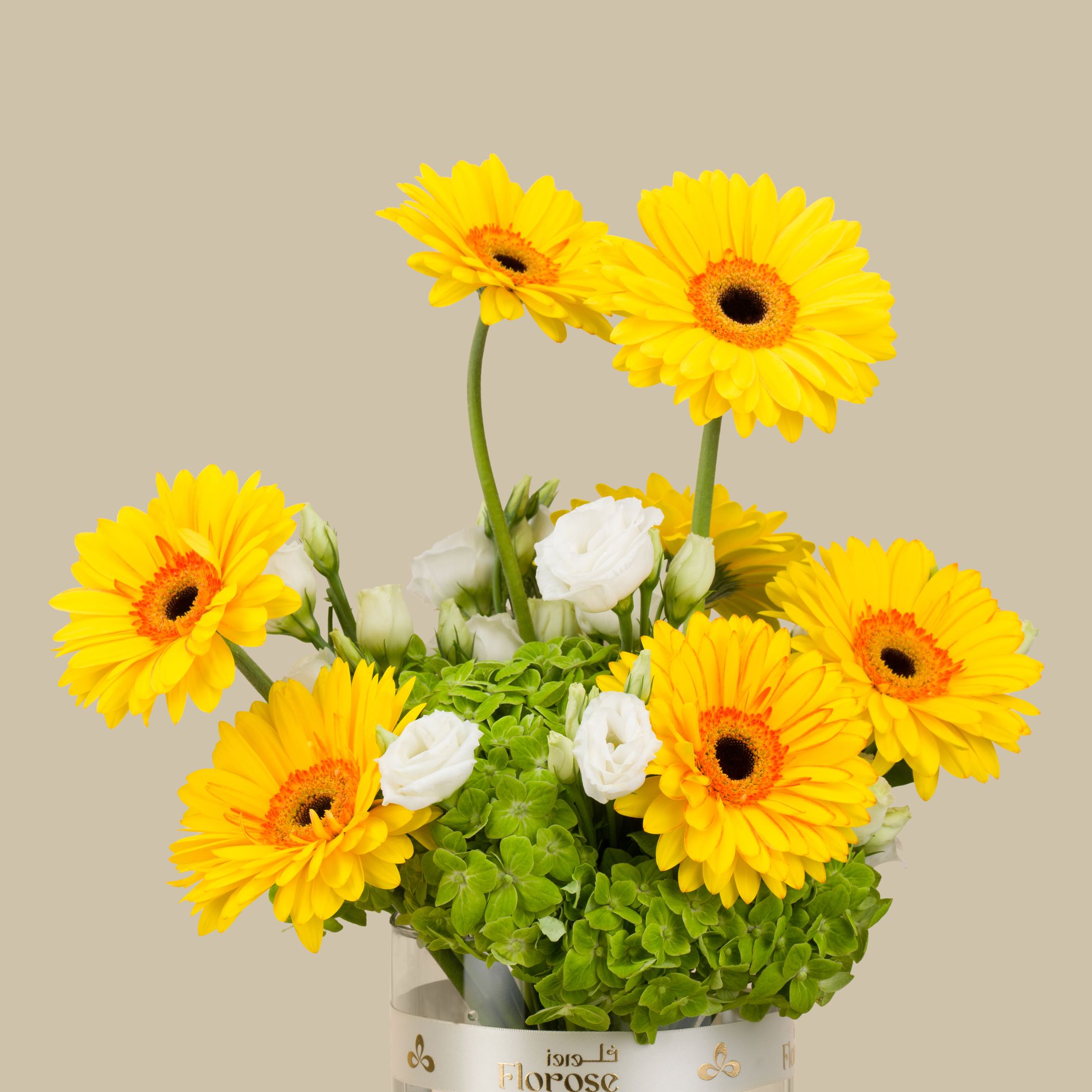 Helen Chocolate Cake | Morning Happiness Vase Helen Chocolate Cake | Morning Happiness Vase