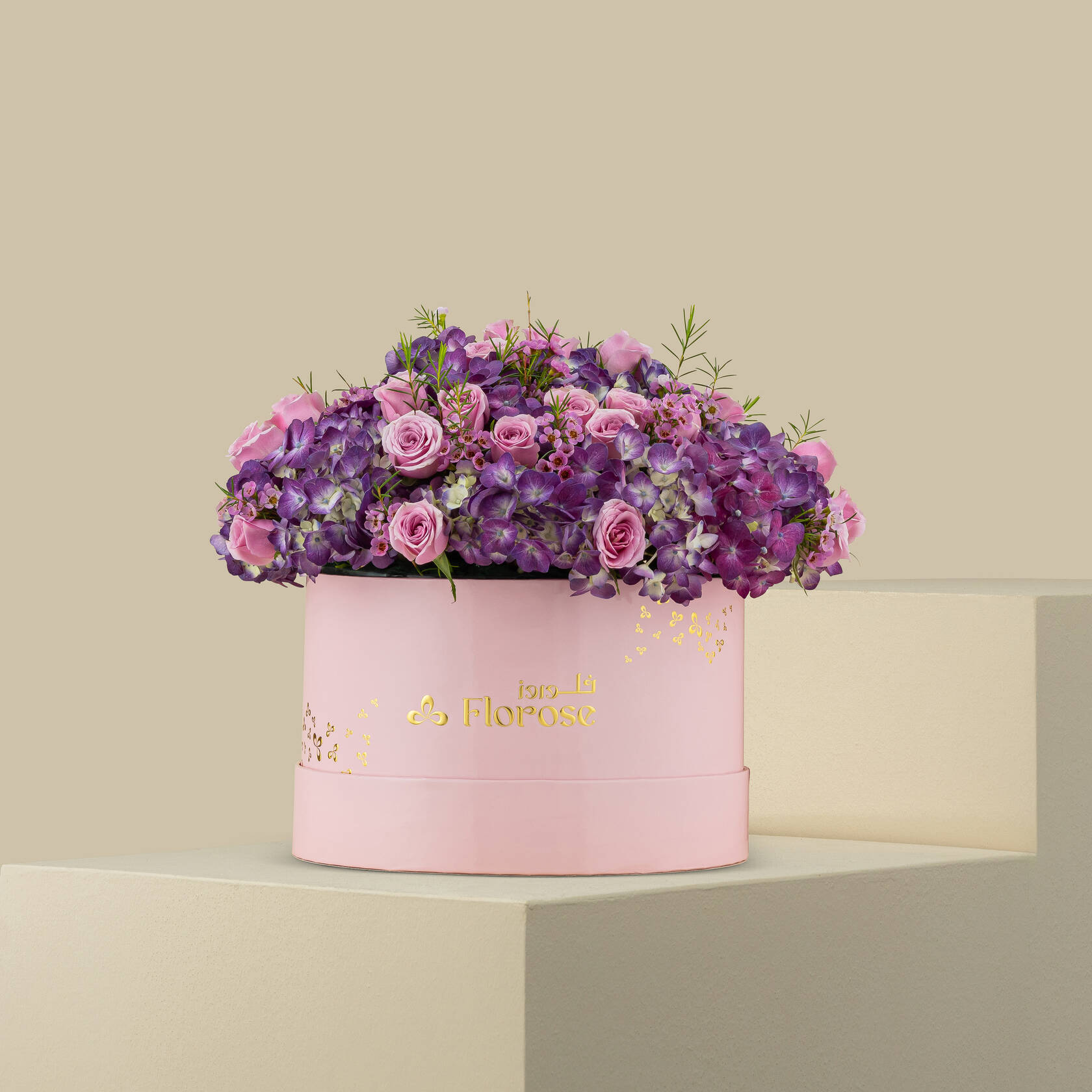 Violet Glow Box Violet Glow Box