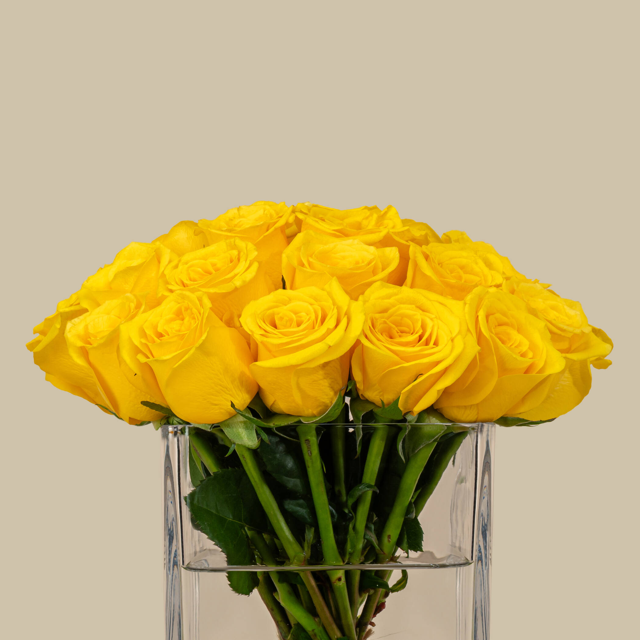 Dazzling Rose Square Vase Yellow | 25 Flowers Dazzling Rose Square Vase Yellow | 25 Flowers