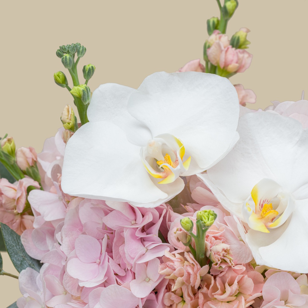 Lancôme Absolue Les Parfums EDP | Soft Rose Vase Lancôme Absolue Les Parfums EDP | Soft Rose Vase