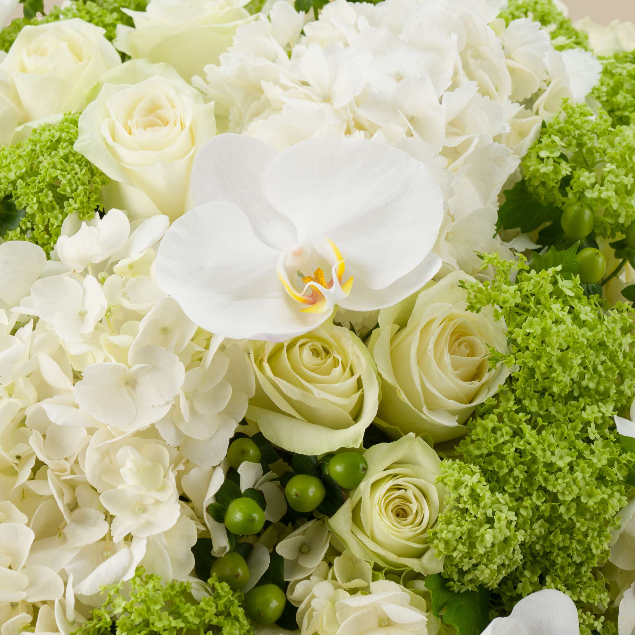 Moon Petal Vase Moon Petal Vase
