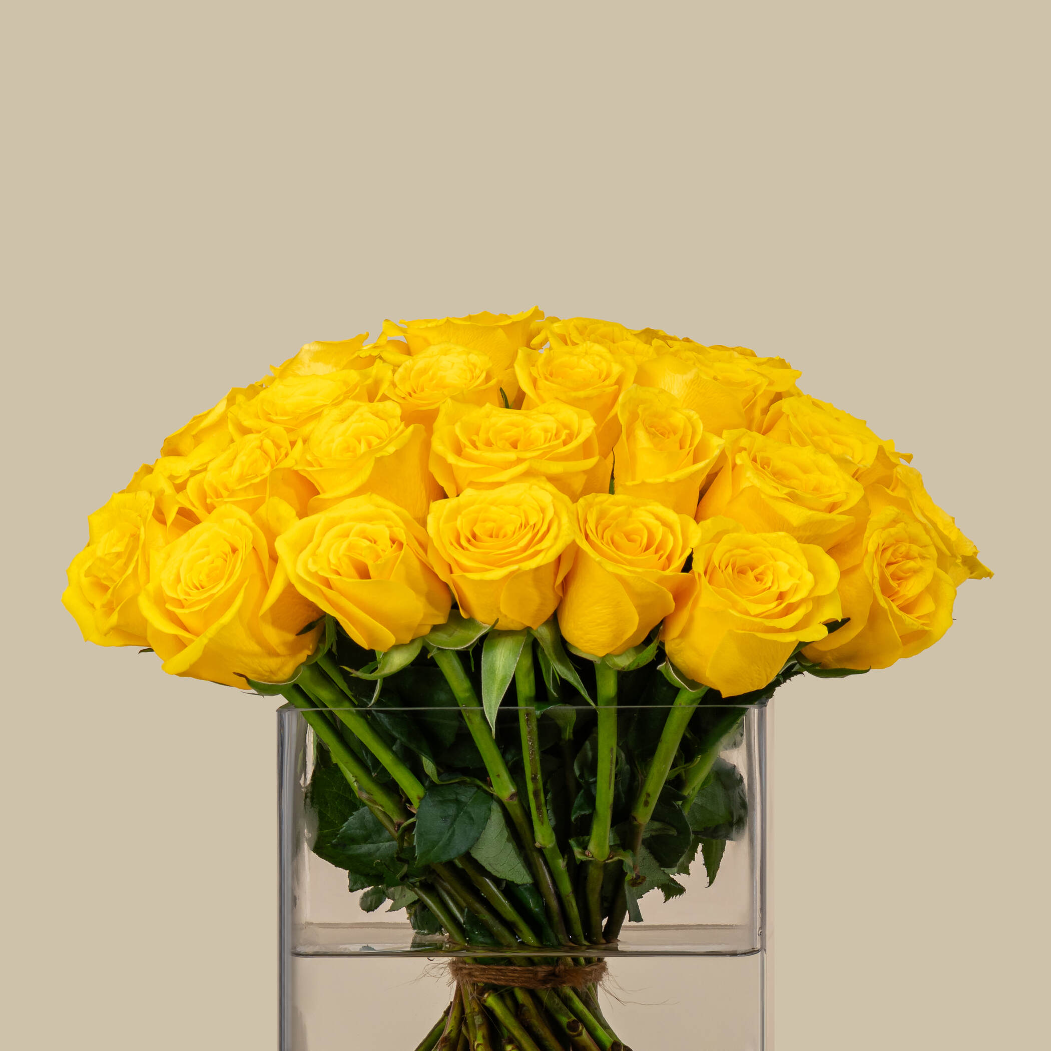 Magnificent Rose Square Vase Yellow | 50 Flowers Magnificent Rose Square Vase Yellow | 50 Flowers