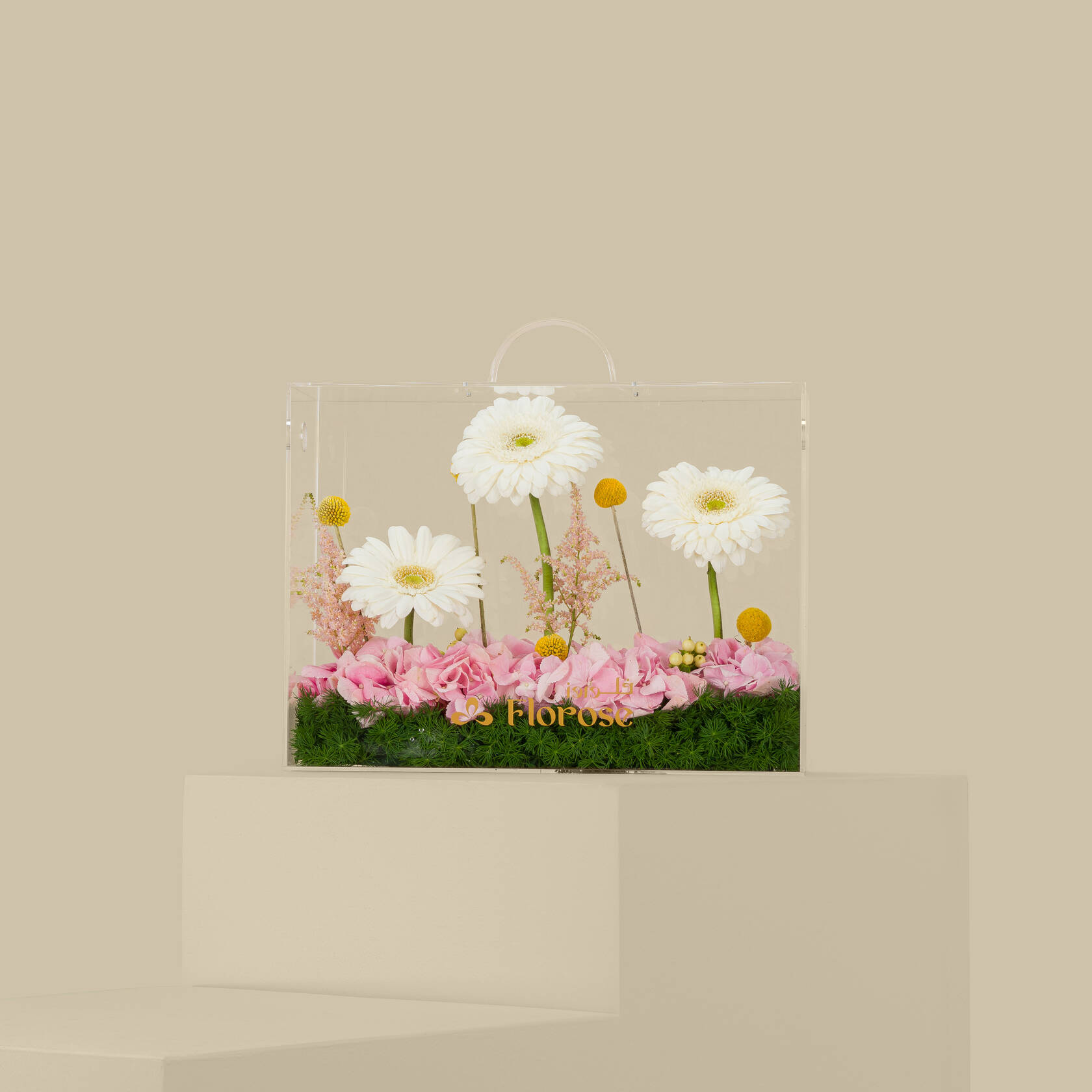 Acrylic Bag Bright Femininity Acrylic Bag Bright Femininity