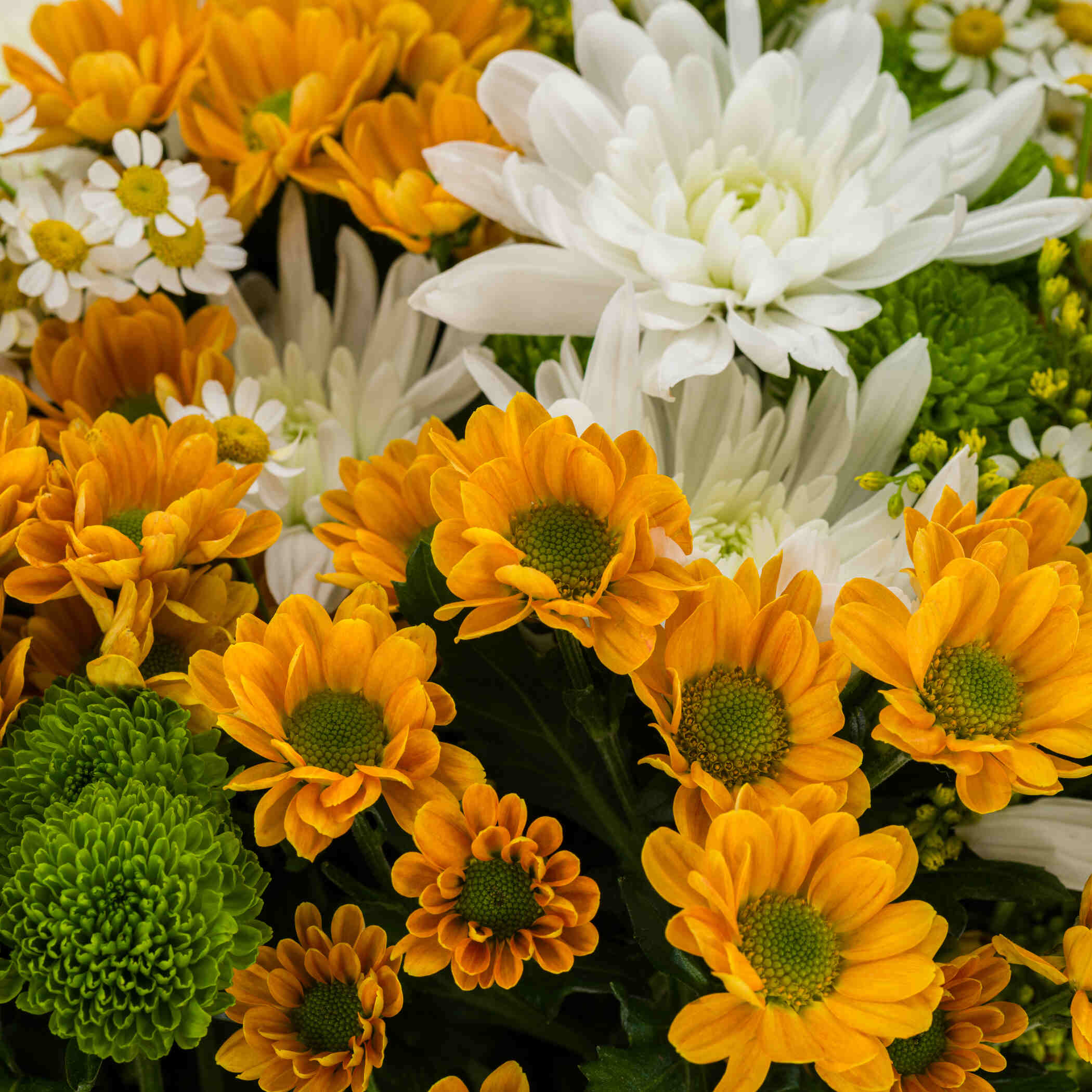 Flower Garden Bouquet Flower Garden Bouquet
