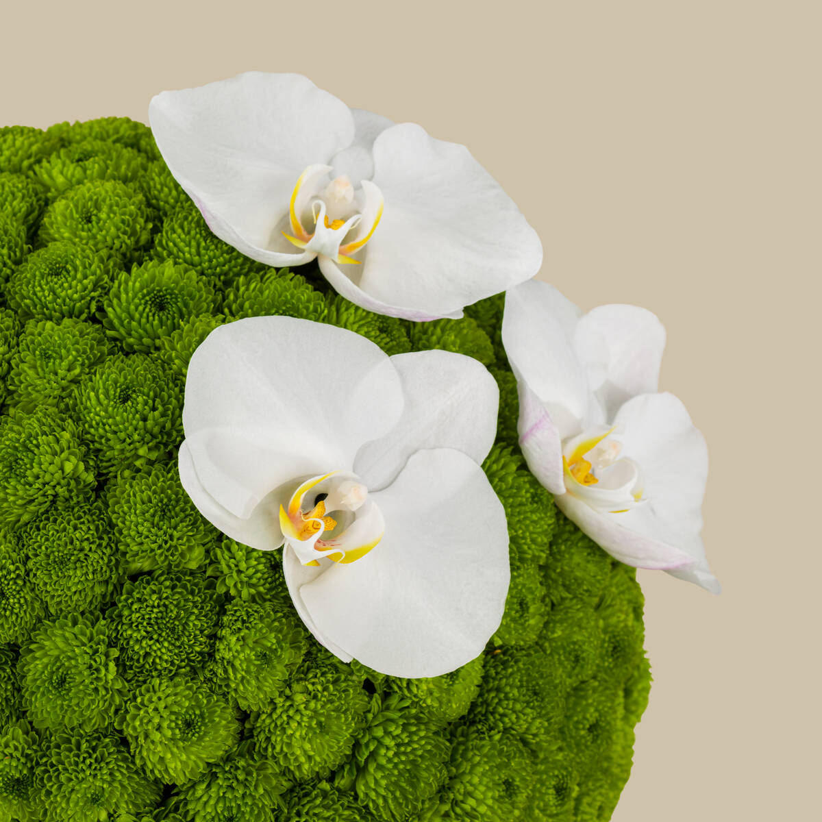 Nature's Charm Basket Nature's Charm Basket