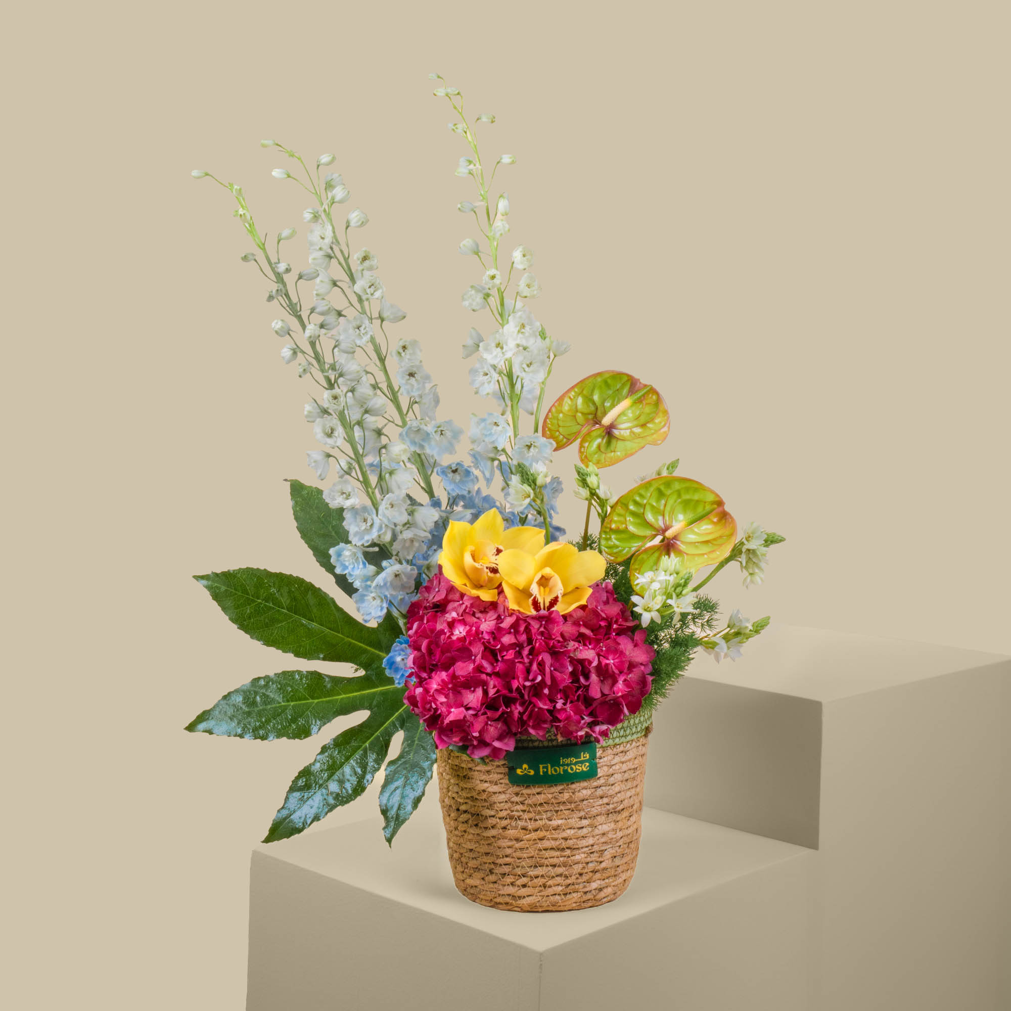 Coral Sun Basket Coral Sun Basket