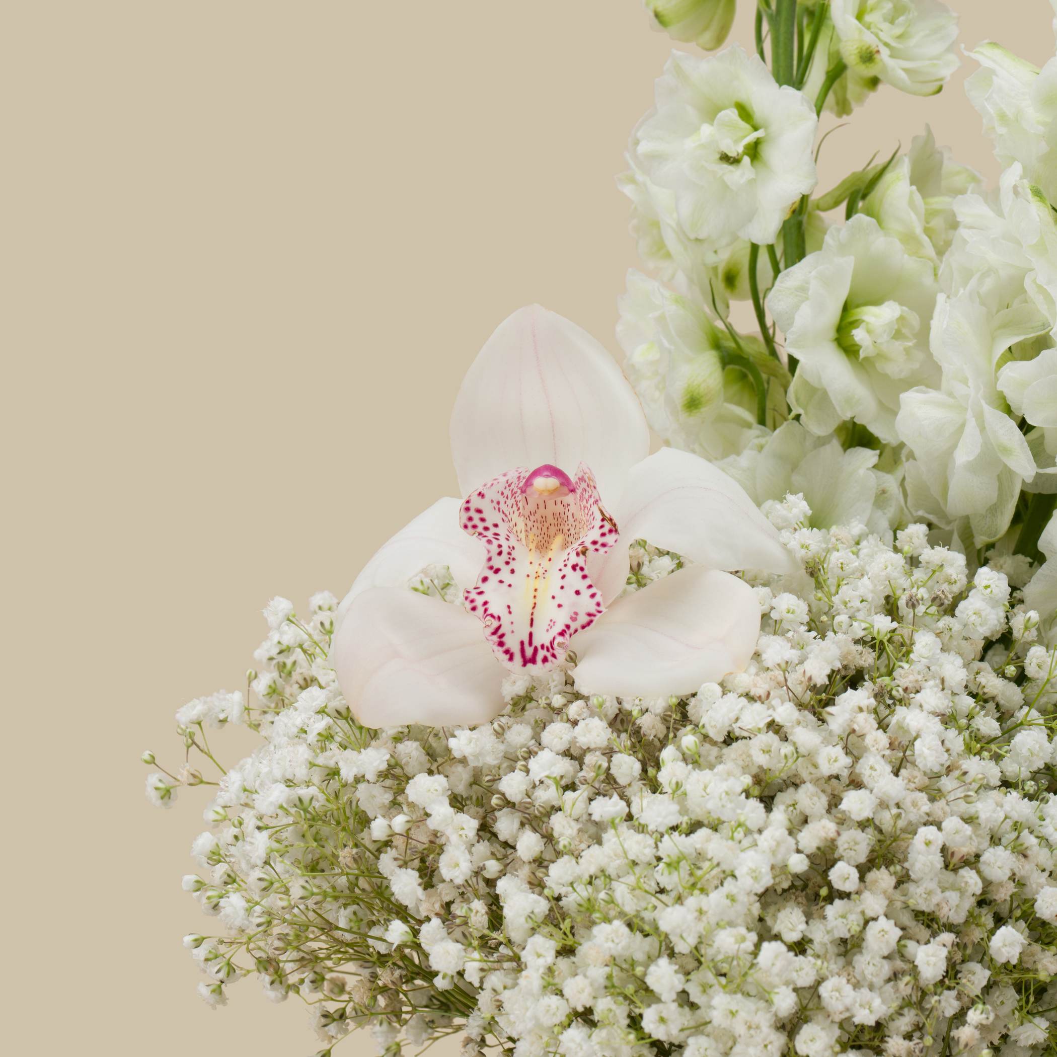 The Pearl Round Vase The Pearl Round Vase
