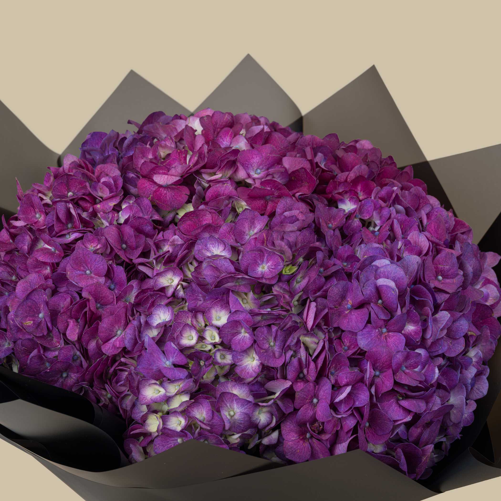 Accento EDP 100 ml by Xerjoff | Purple Hydrangea Bouquet Accento EDP 100 ml by Xerjoff | Purple Hydrangea Bouquet