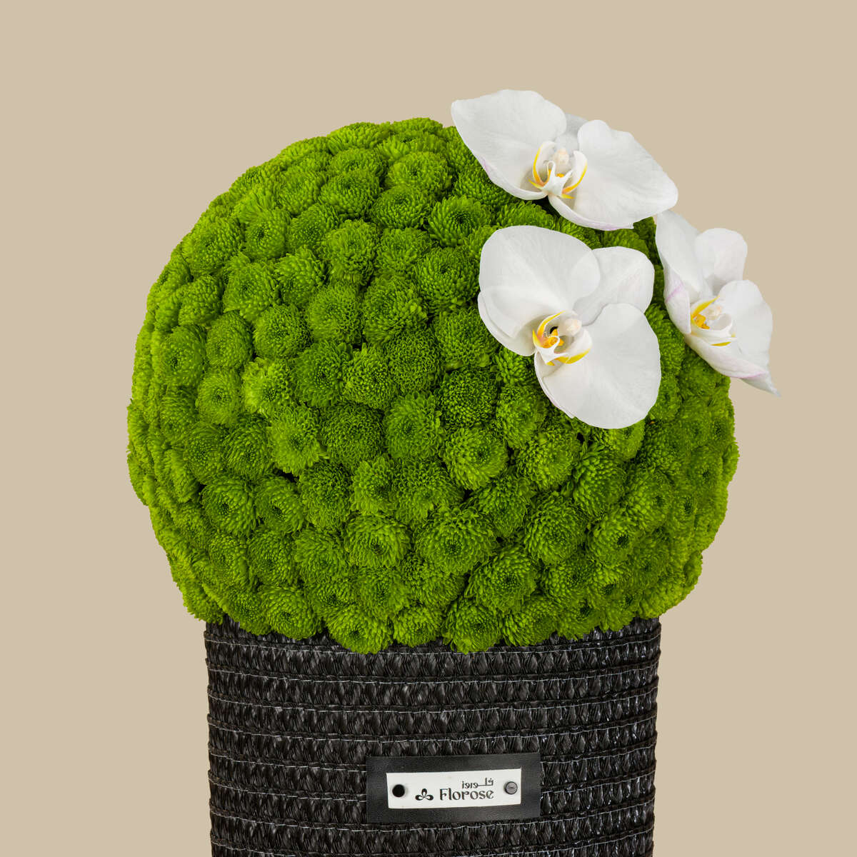 Nature's Charm Basket Nature's Charm Basket
