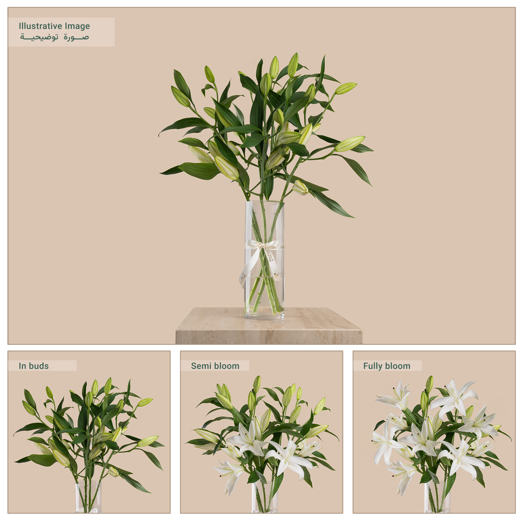 White Lily Bouquet White Lily Bouquet